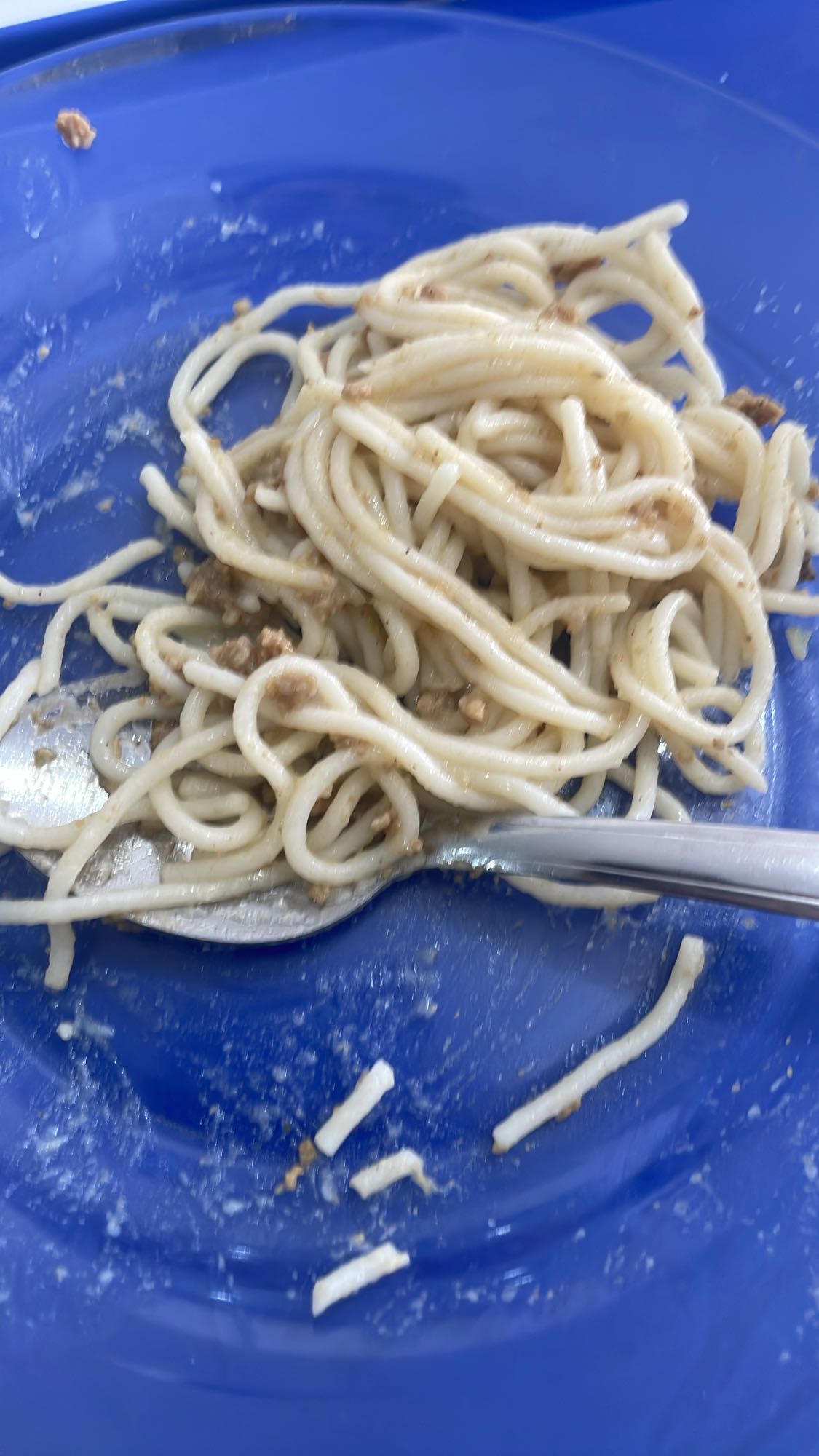 Macarrão simples com carne