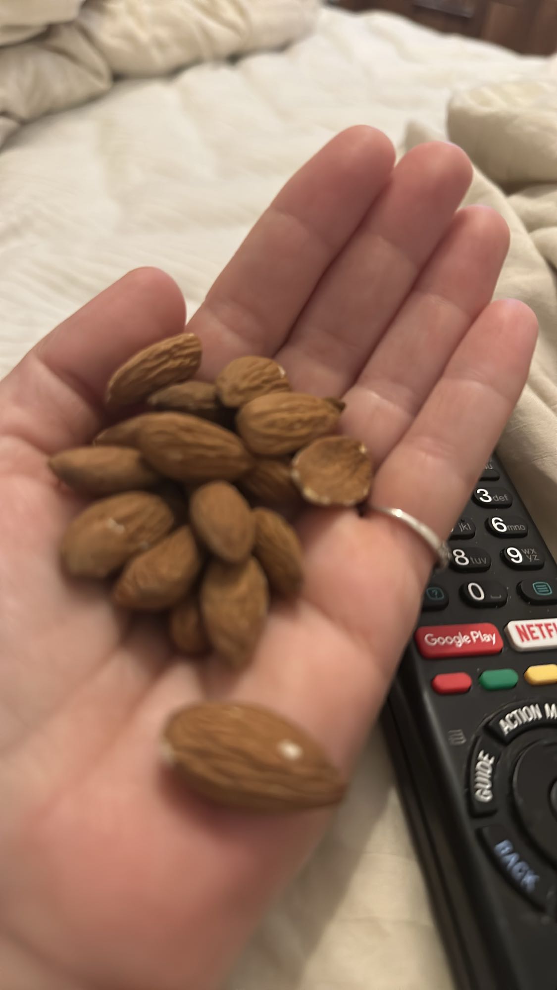 Handful of Almonds