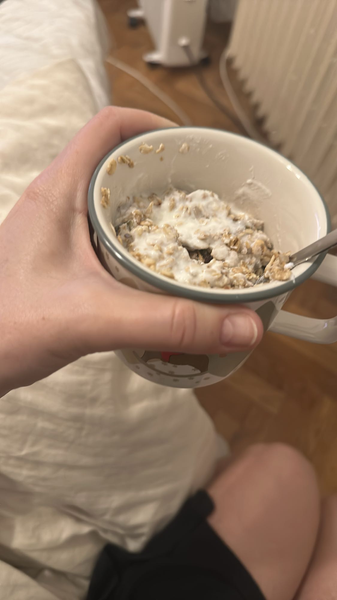 Oats with yogurt