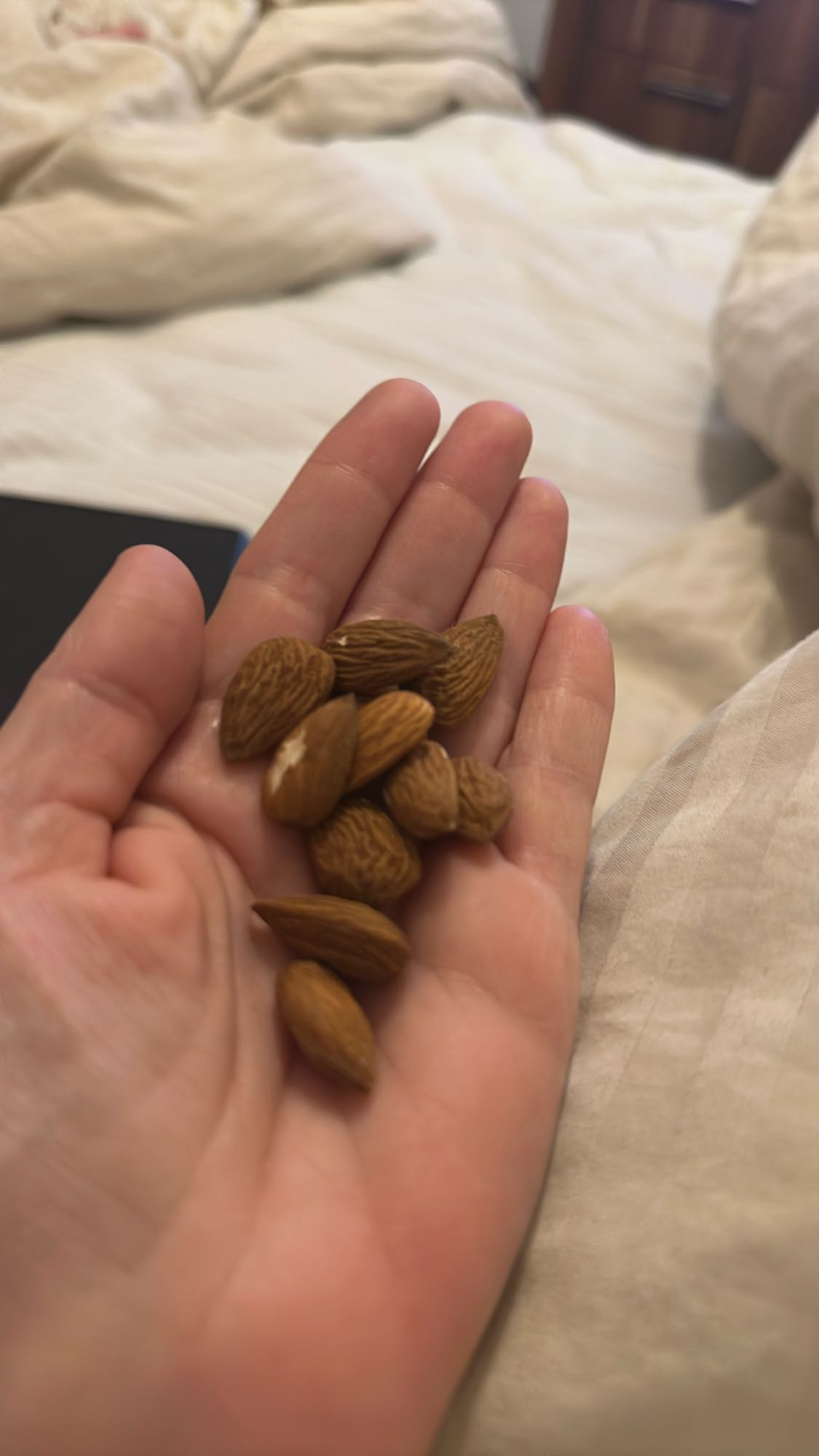 Handful of Almonds