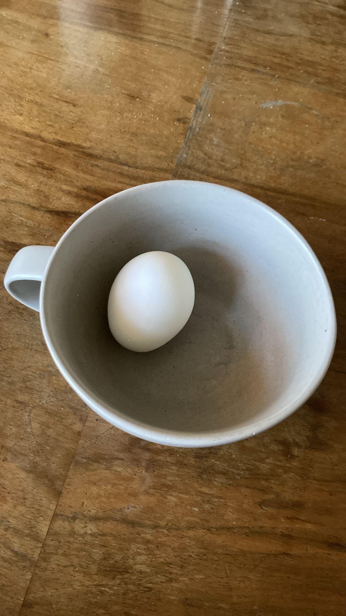 Kokt ägg i kopp
