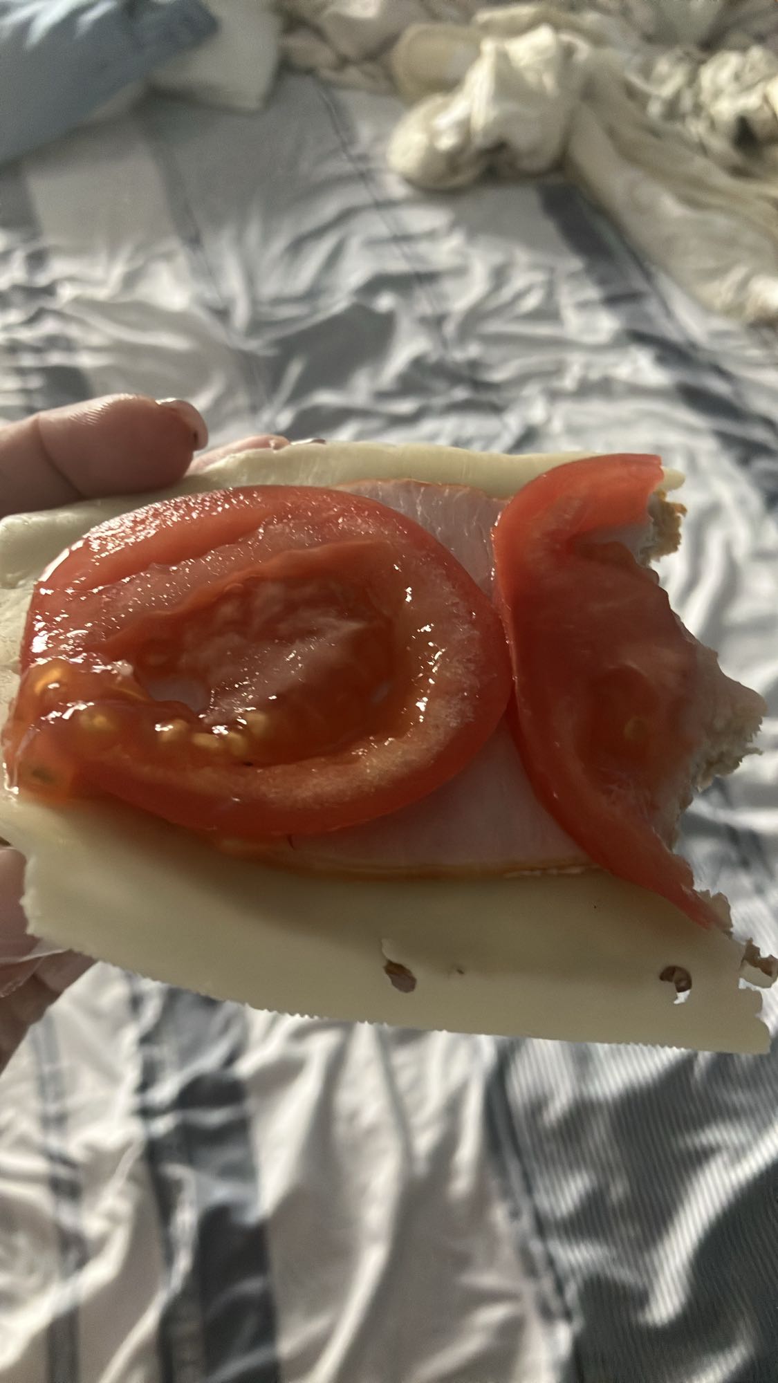 Kanapka z serem, szynką i pomidorem