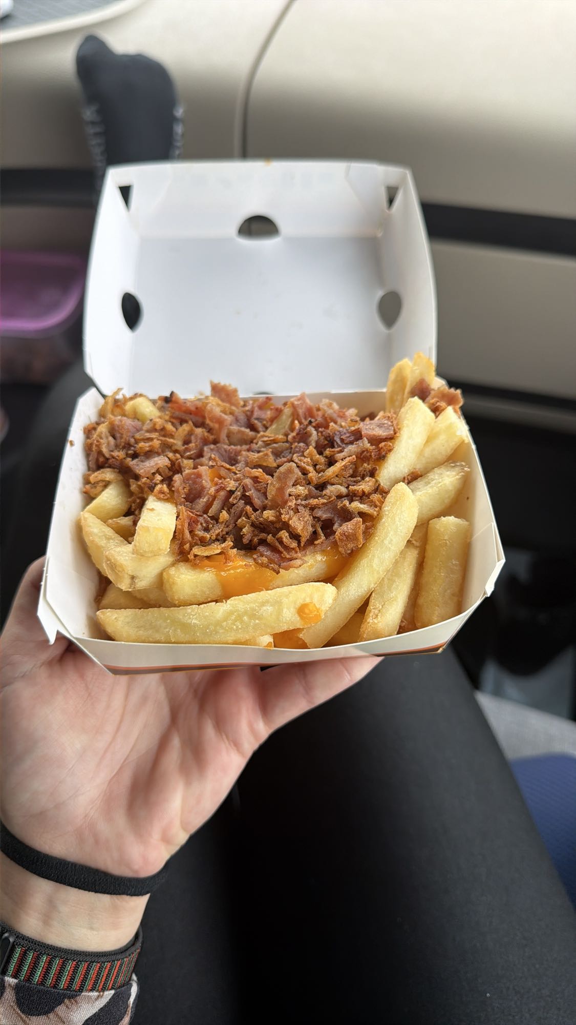 Cartofi prăjiți cu bacon și brânză