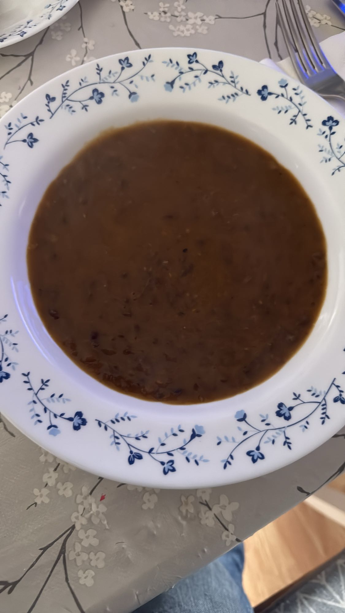 sopa de lentejas