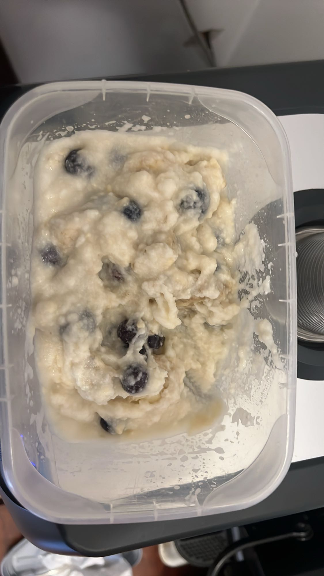 Cottage Cheese Blueberry Mix