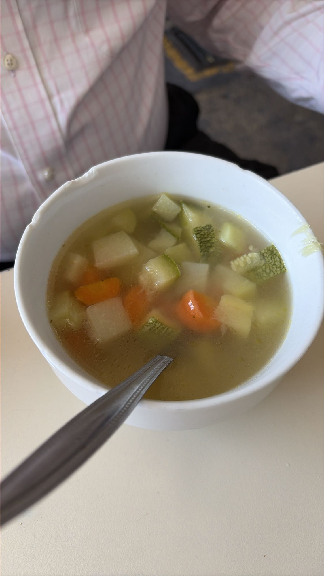 sopa de verduras