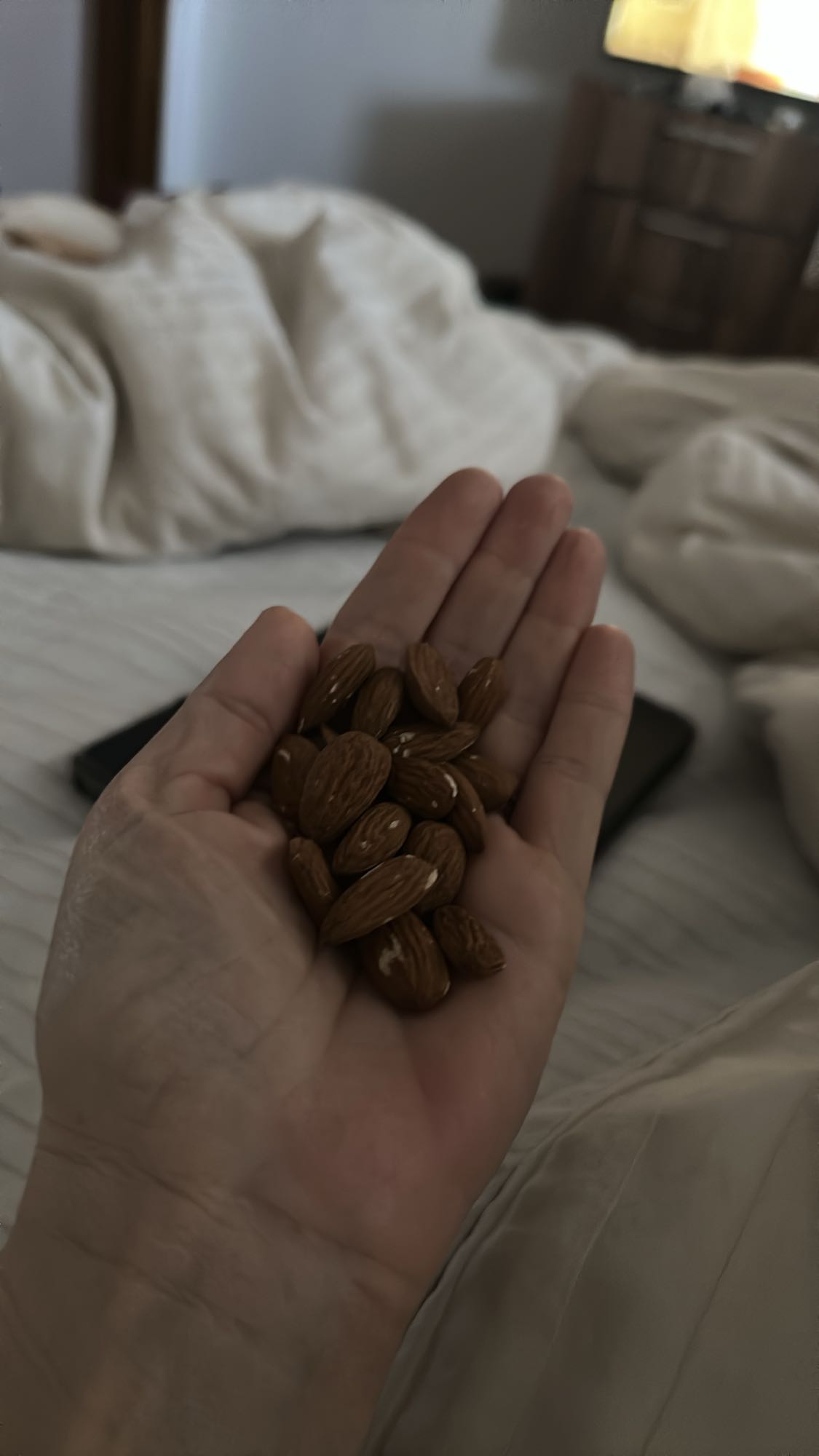 Handful of Almonds