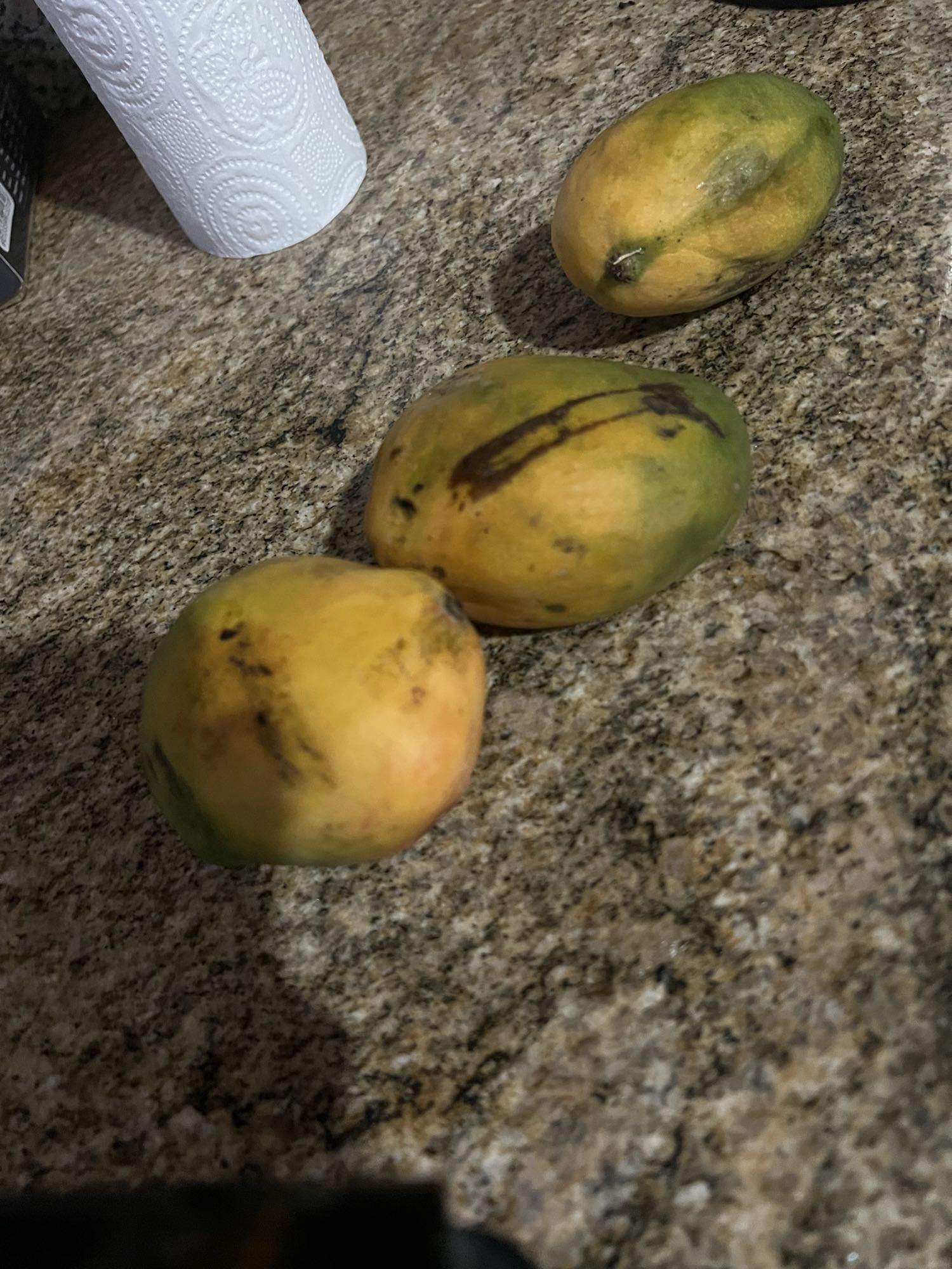 Fresh Mangoes