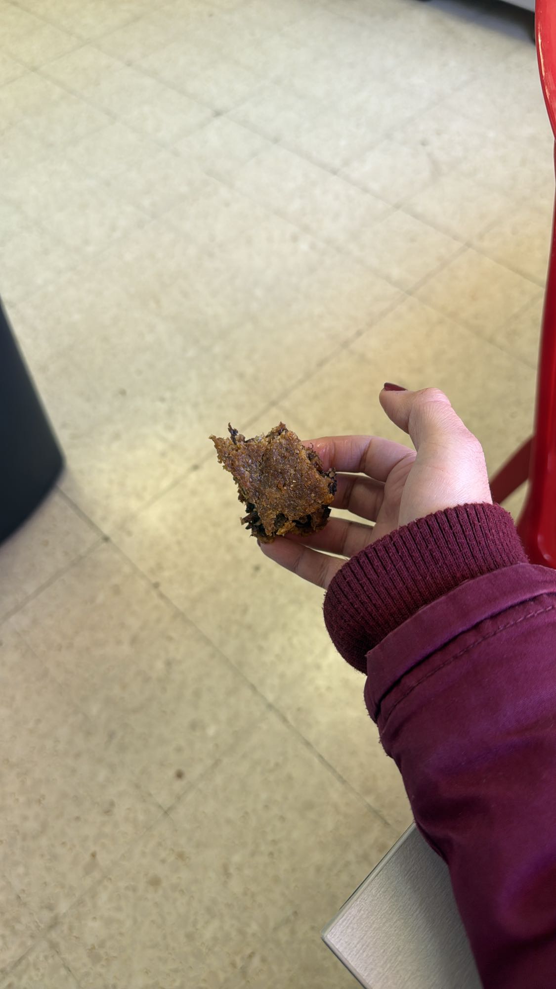 Chocolate chip cookie piece