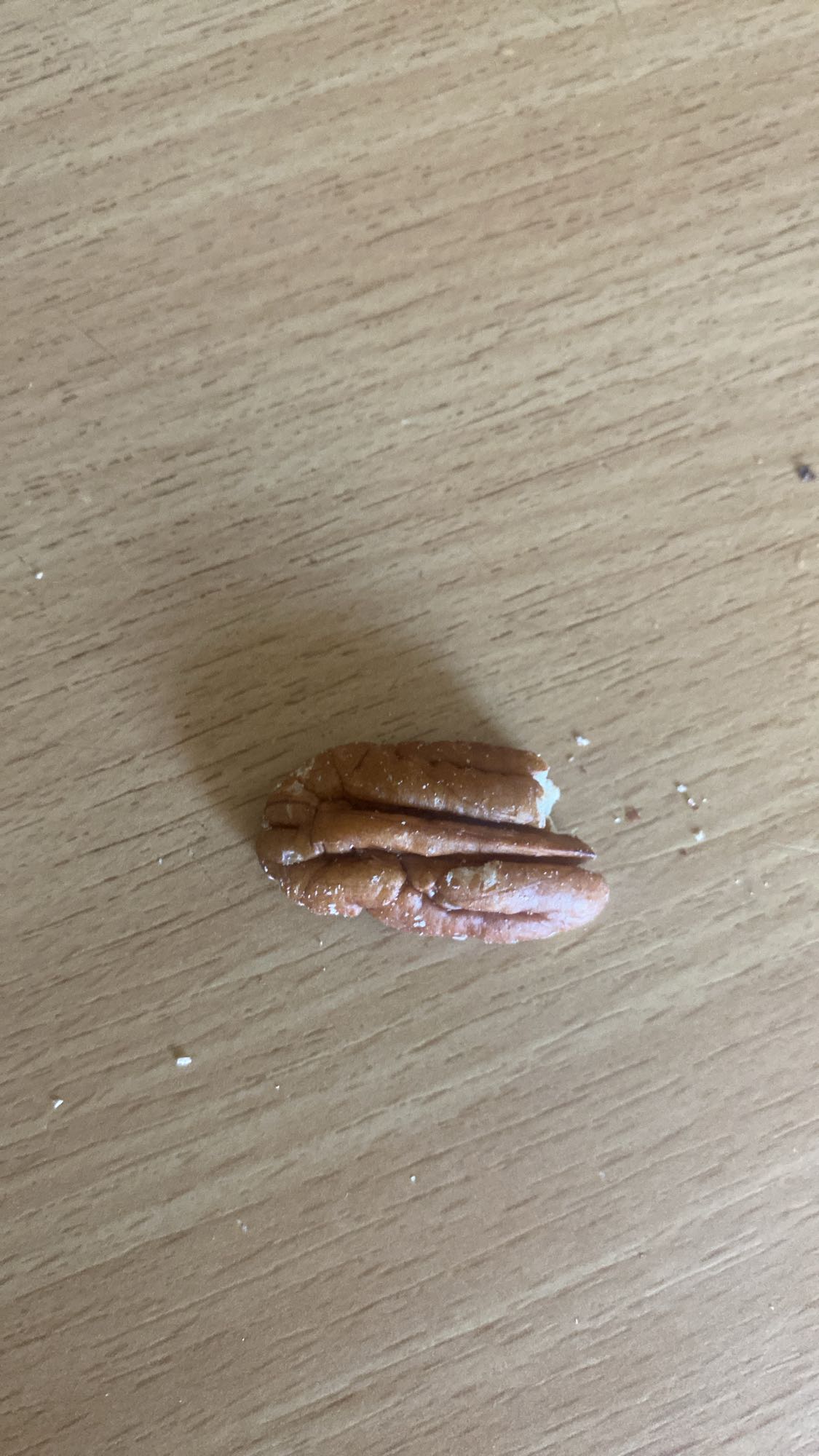 pojedynczy orzech pekan