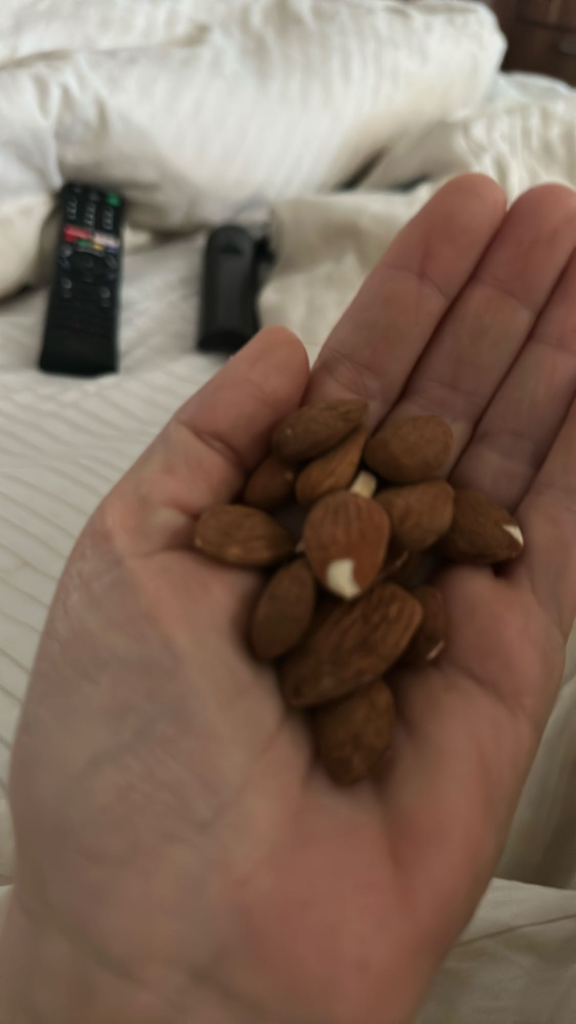 Handful of almonds