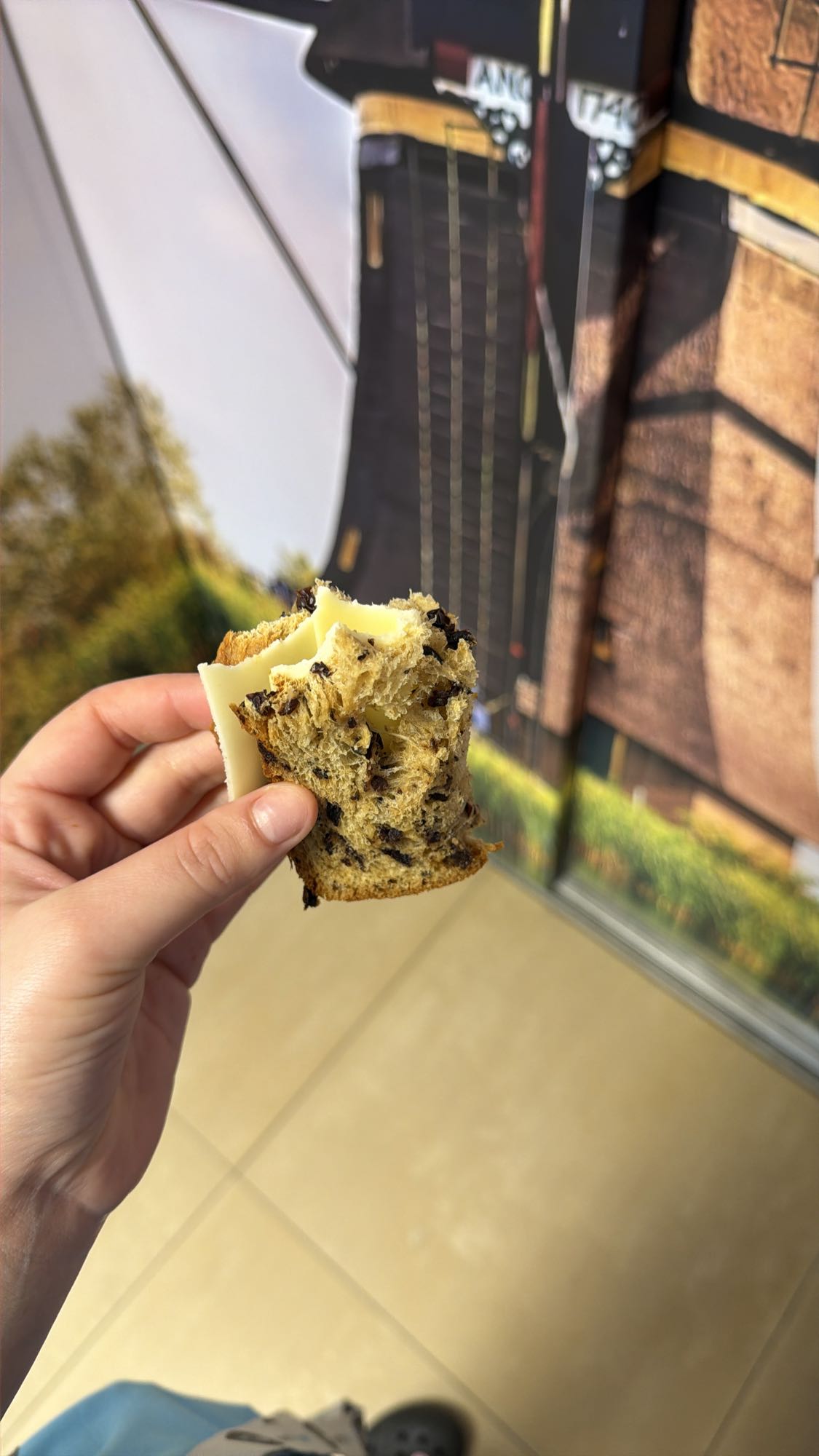 Chocoladebroodje met kaas