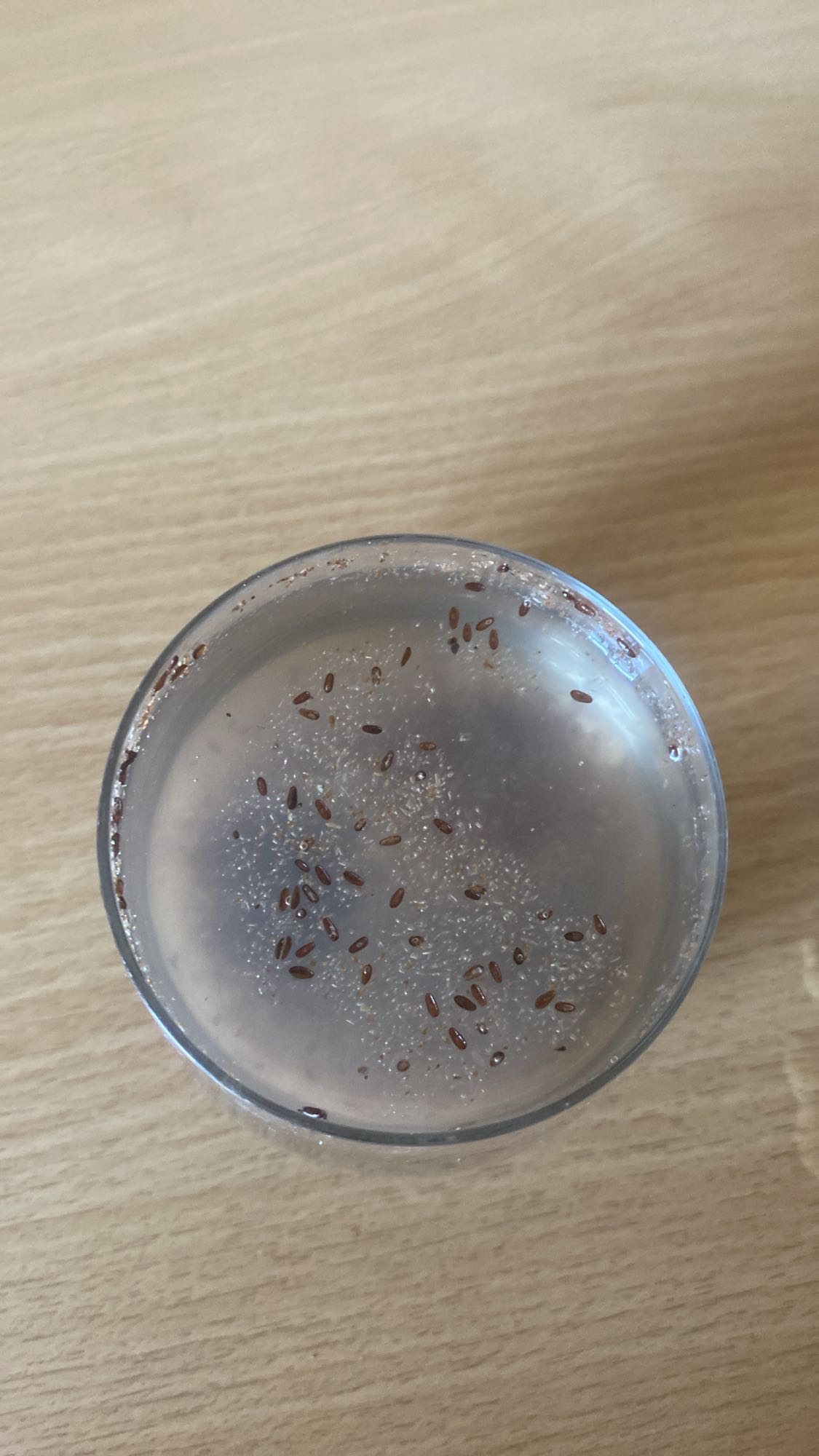 woda z siemieniem lnianym