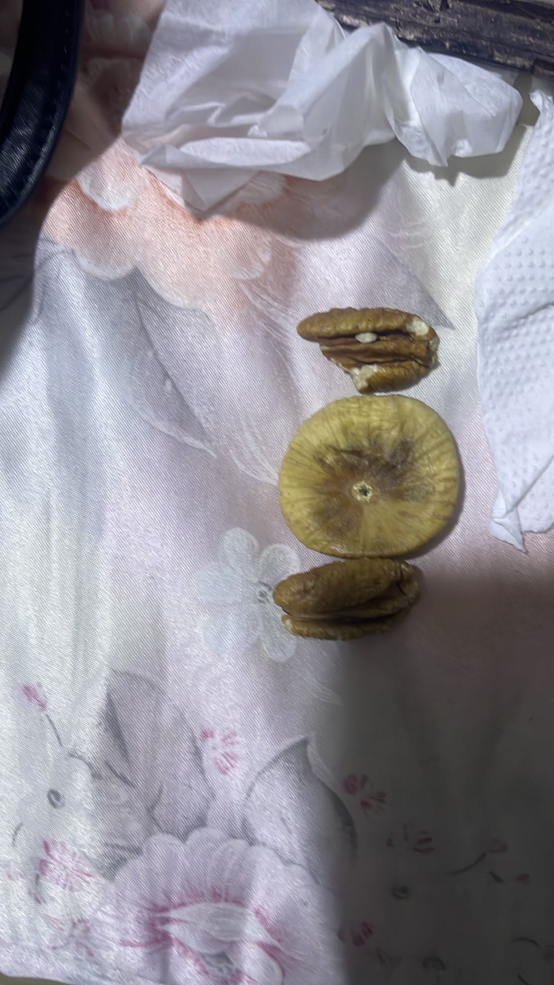 Dried fig with pecans