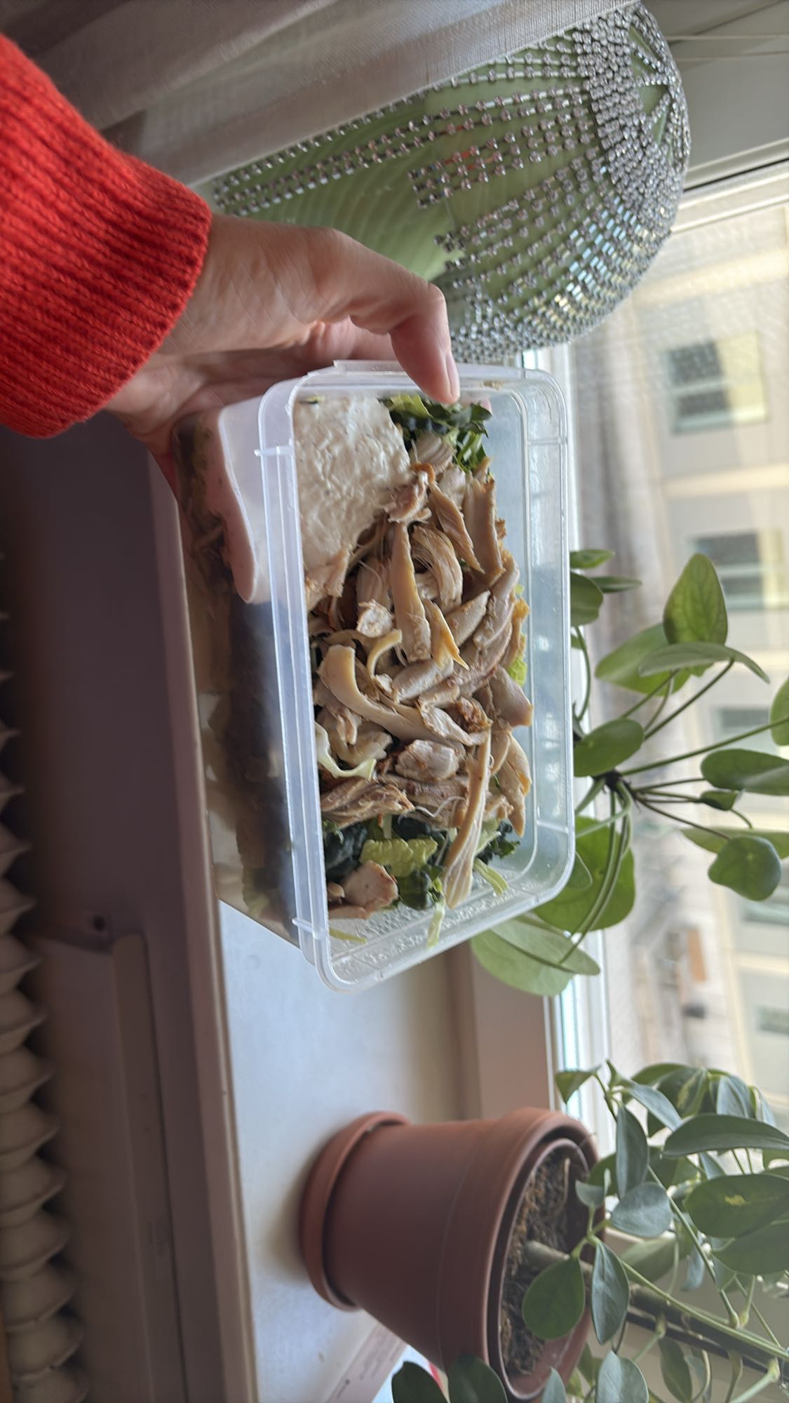 Kycklingsallad med sås