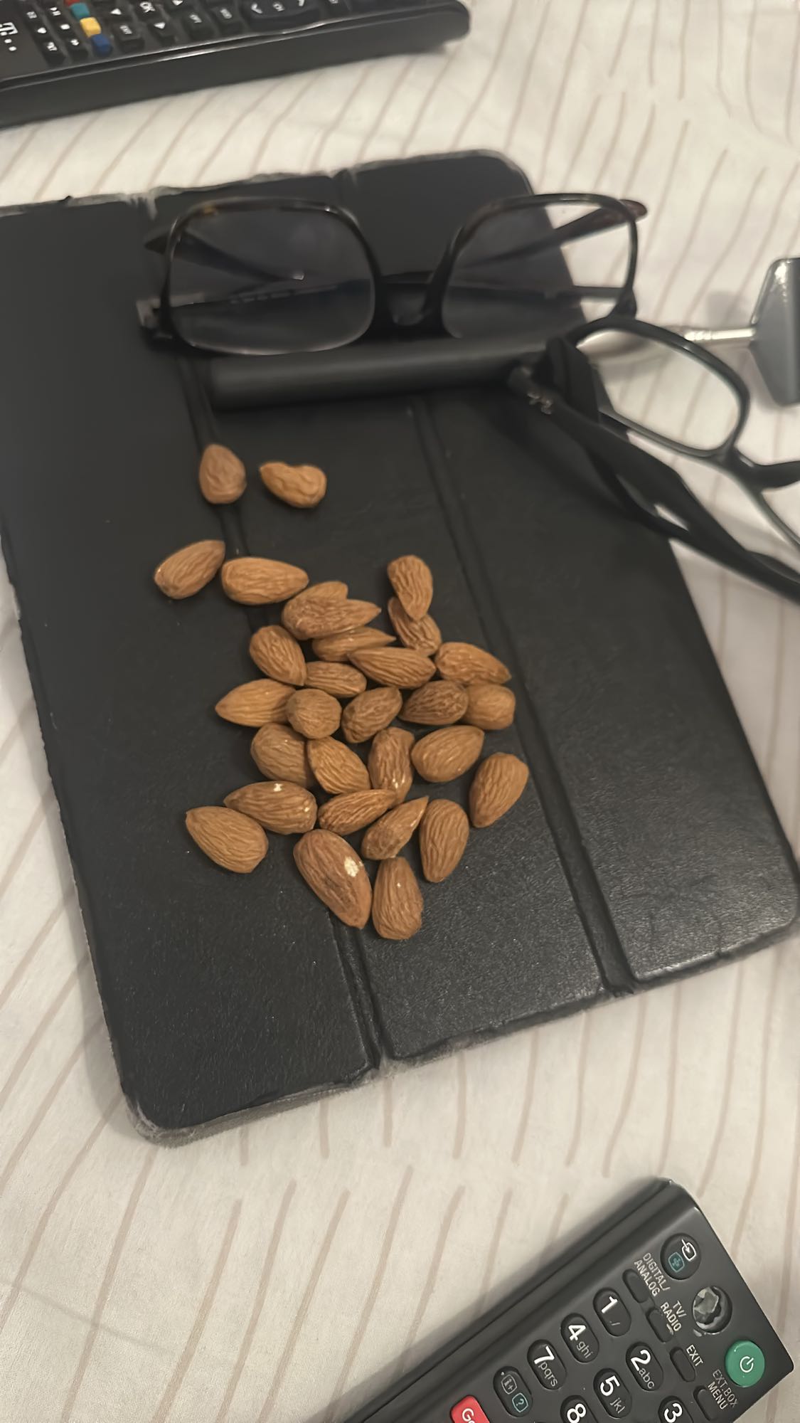 Raw Almond Snack