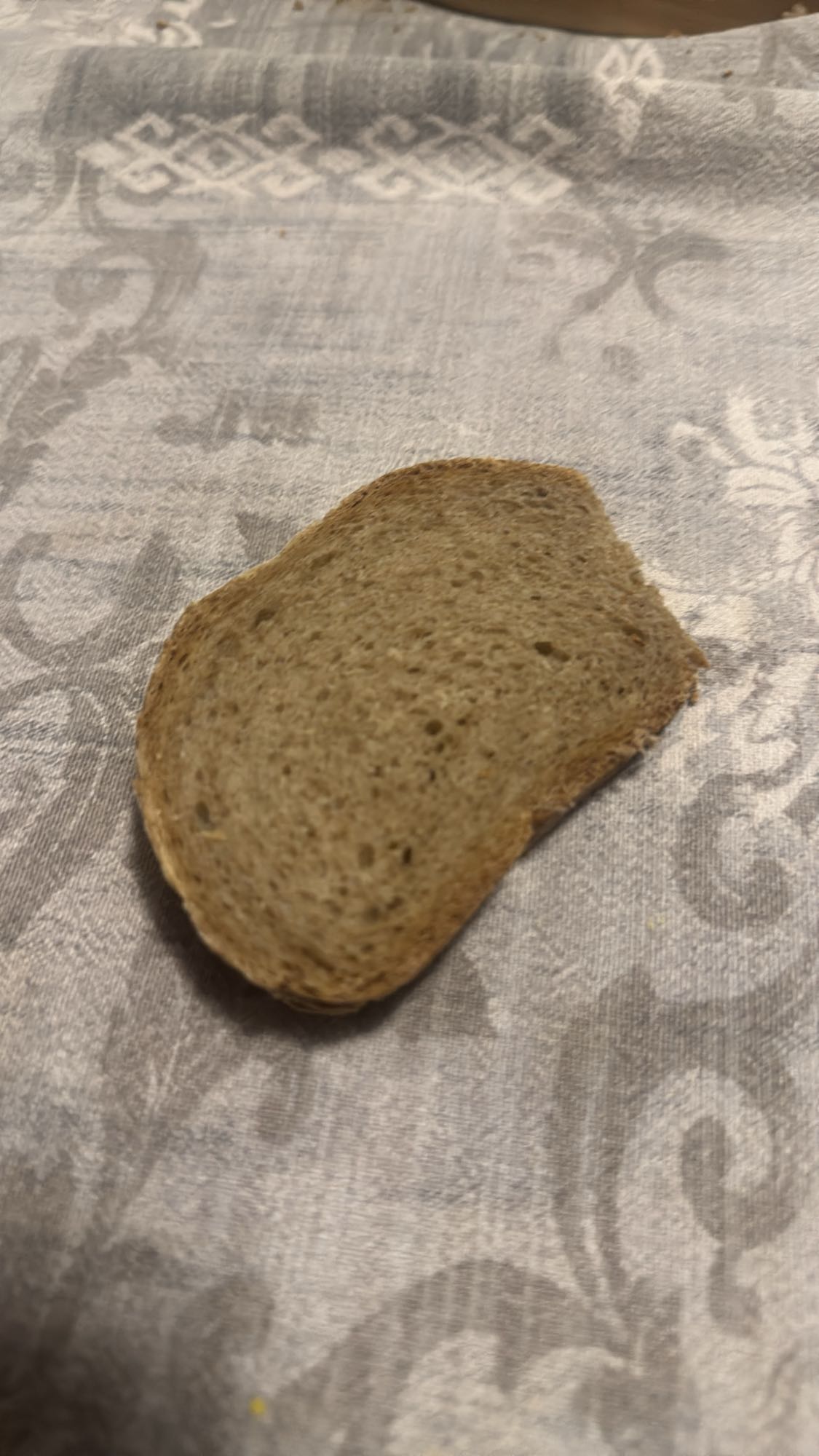 Tam buğday ekmeği dilimi