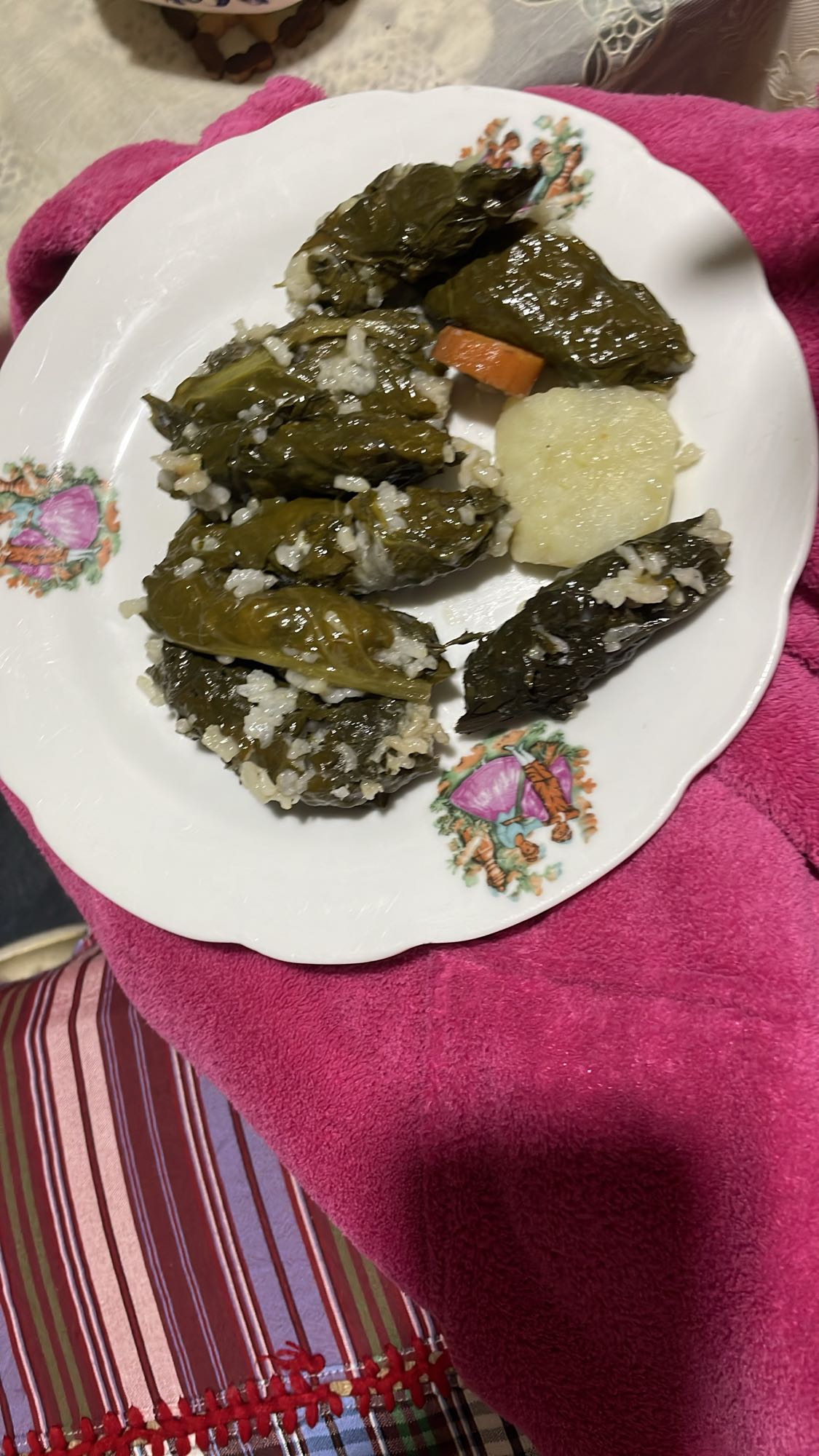 Stuffed grape leaves plate