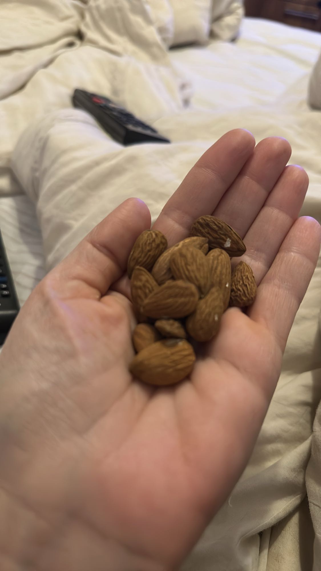 Handful of Almonds