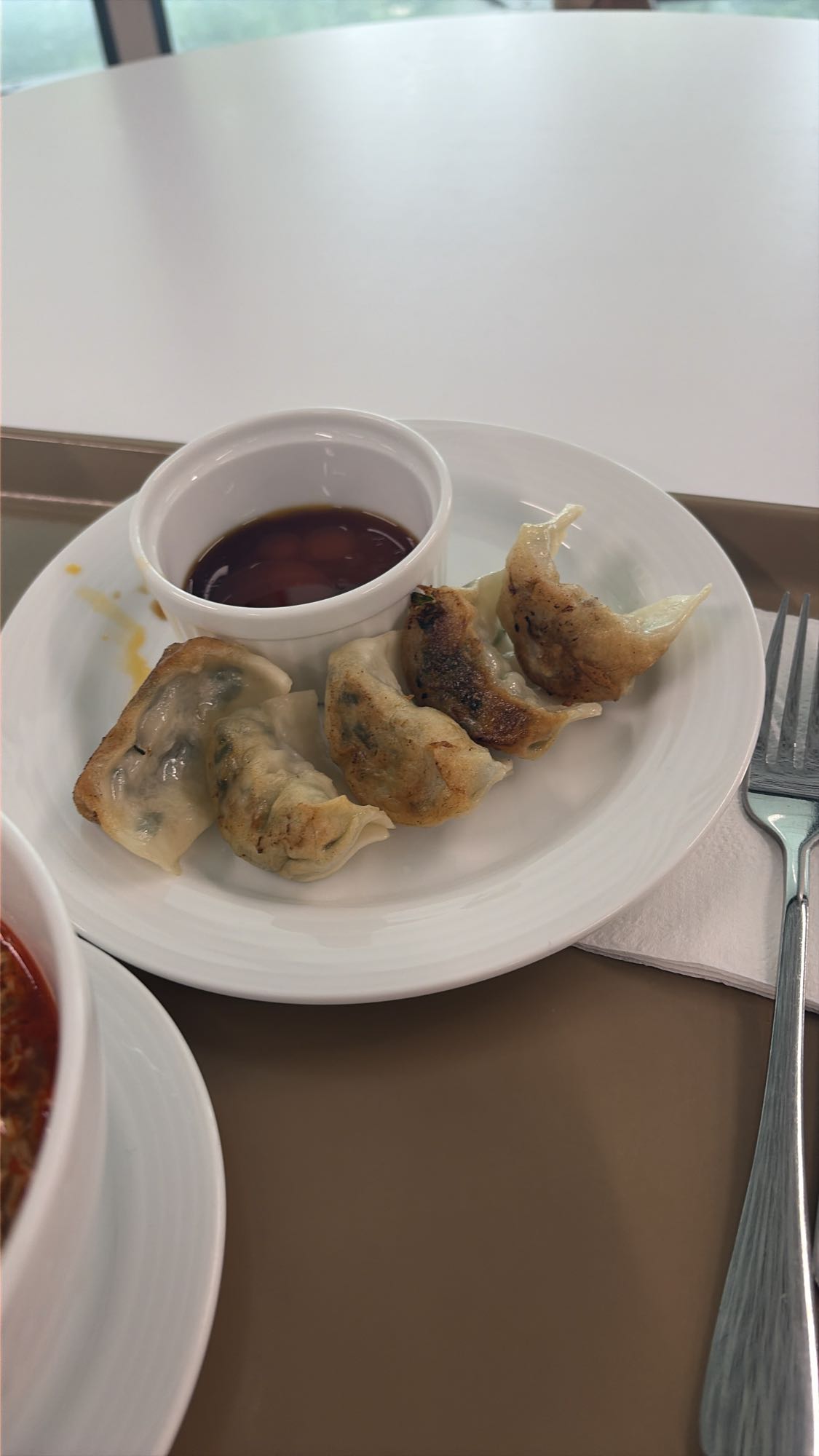 pan-fried dumplings