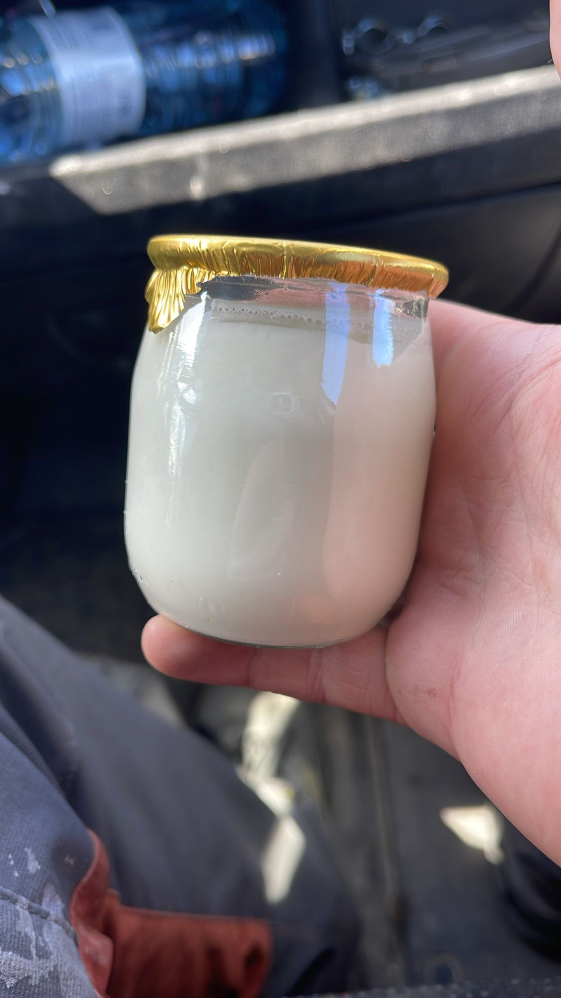 Yaourt nature en pot