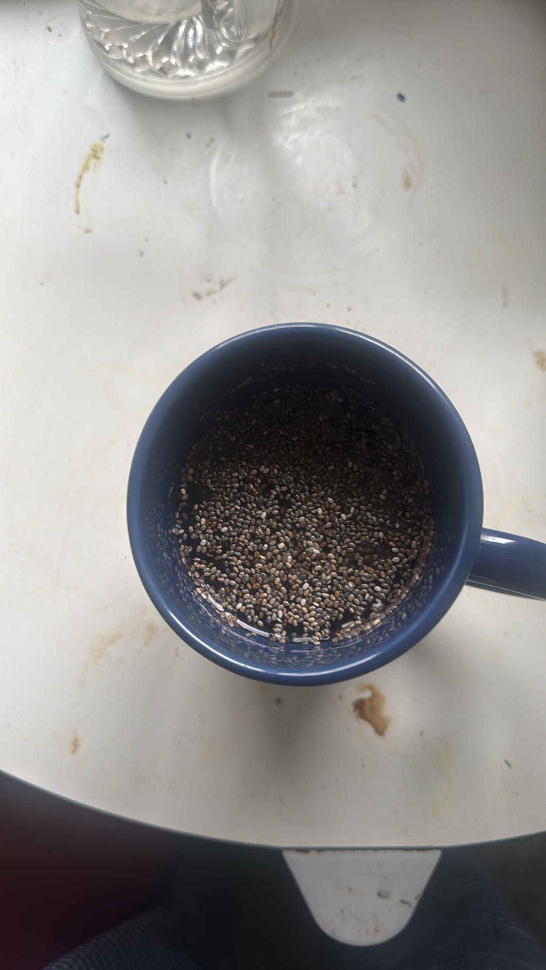 chia seeds in water