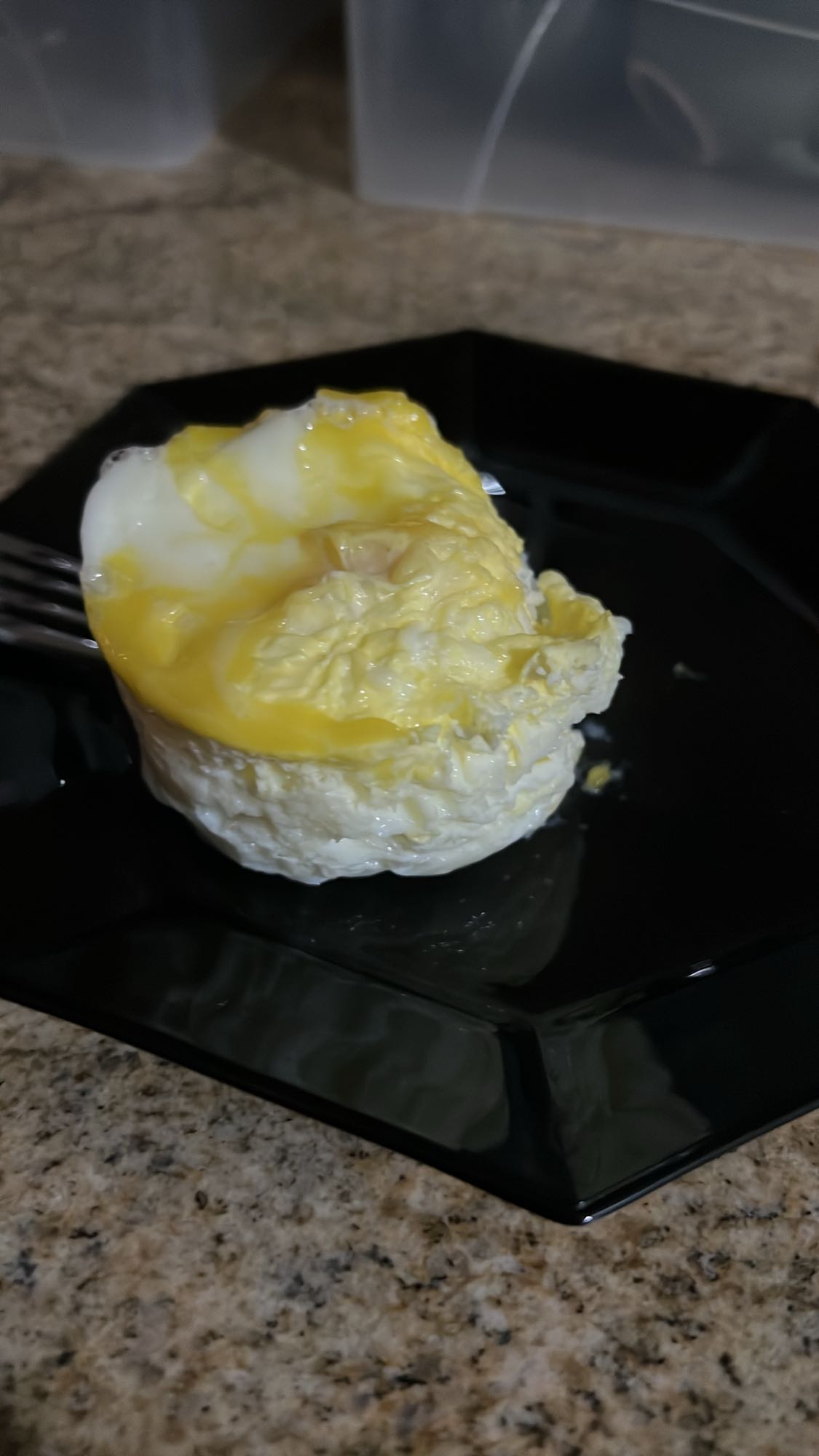 Steamed Egg