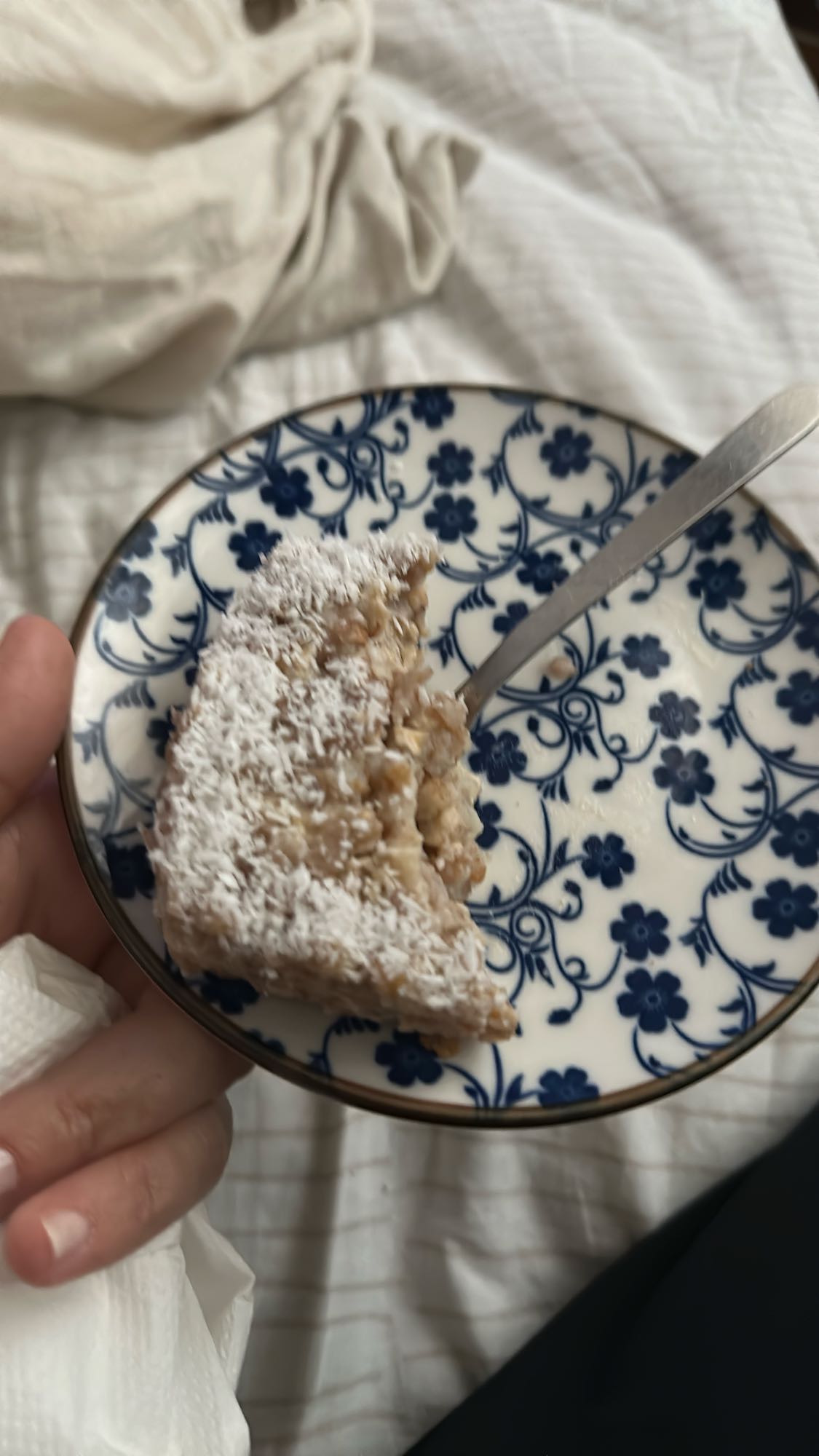 Coconut oat cake slice