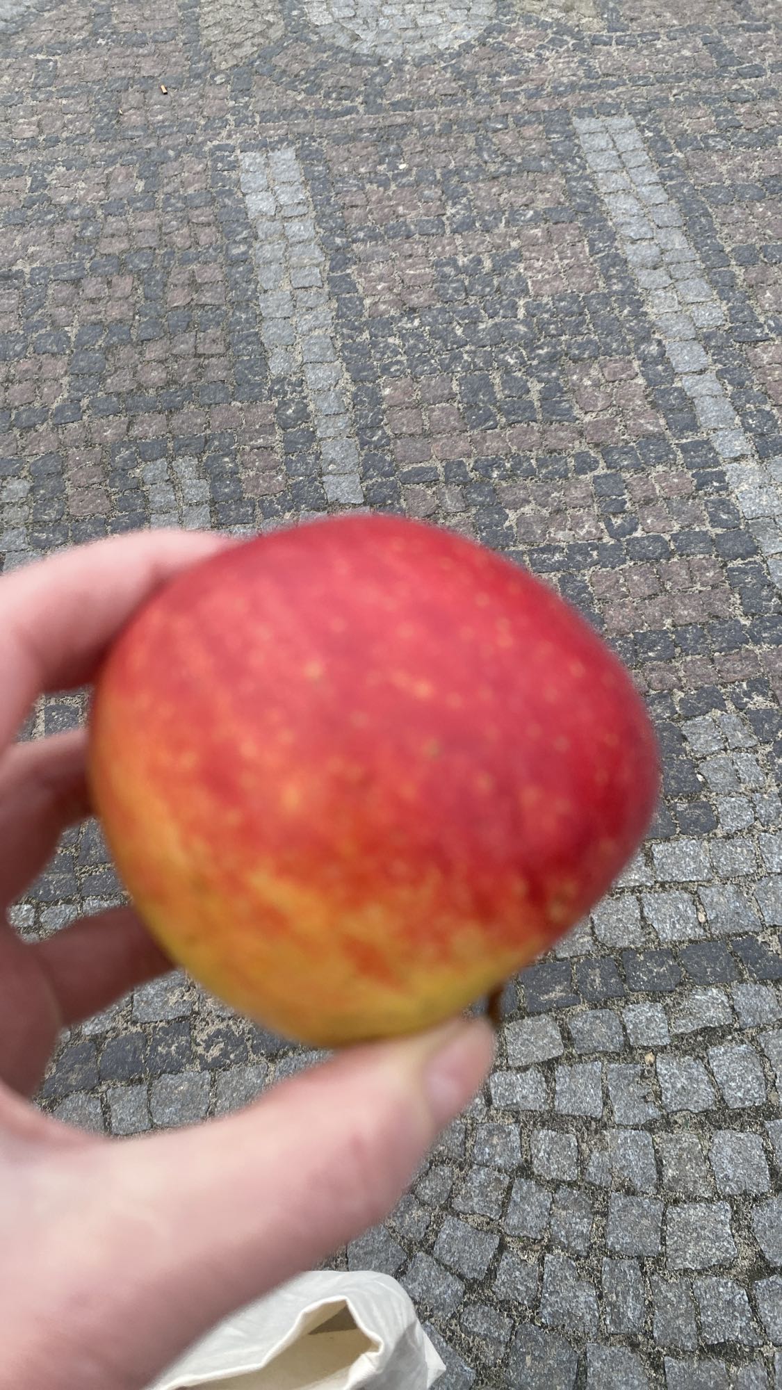 Jabłko