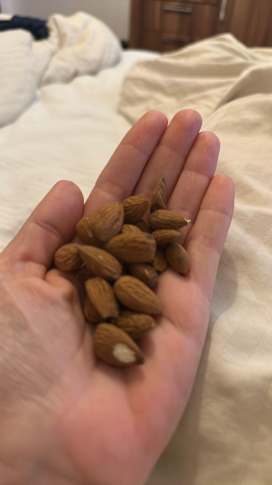 Handful of almonds