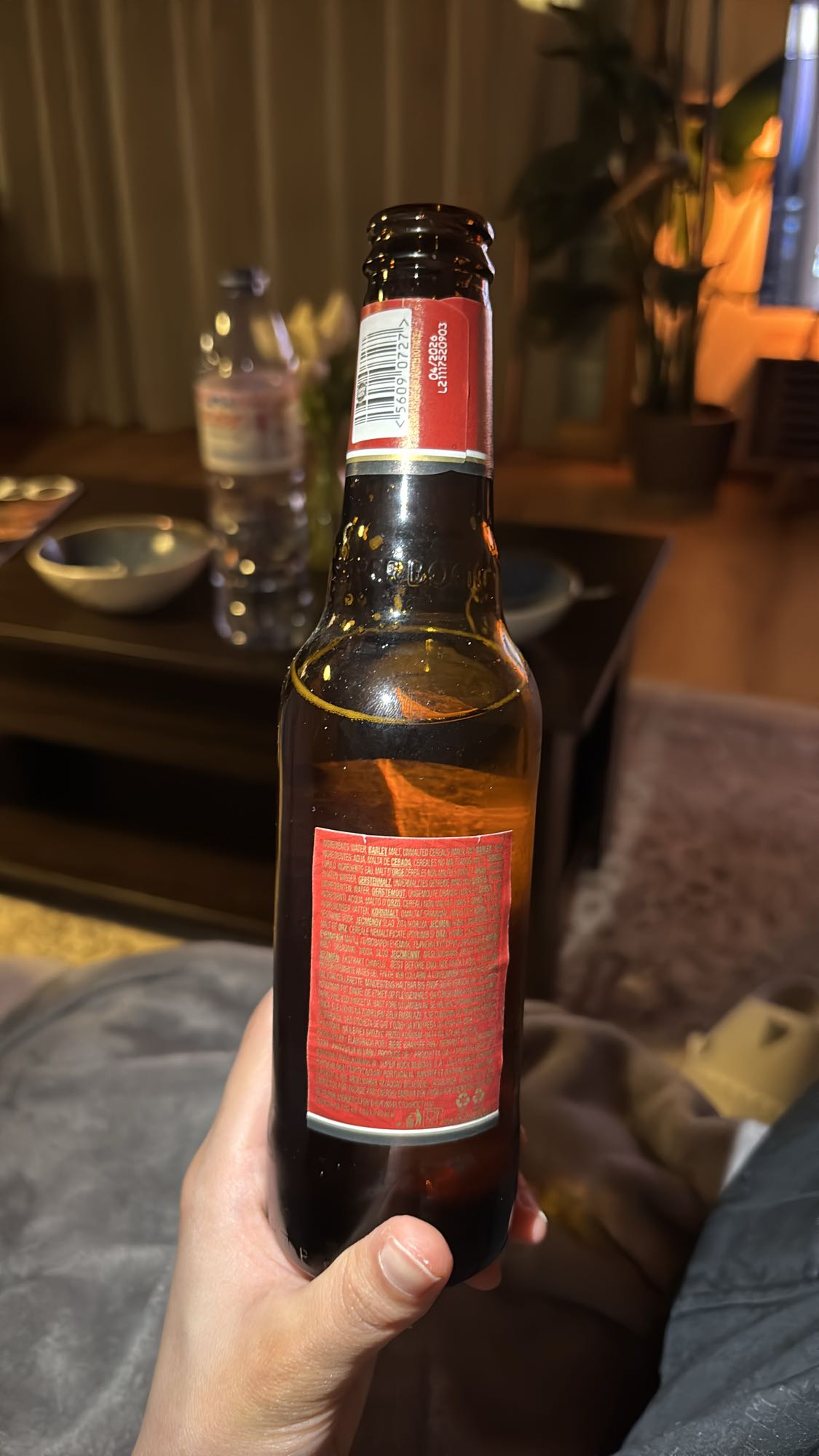Bira Şişesi