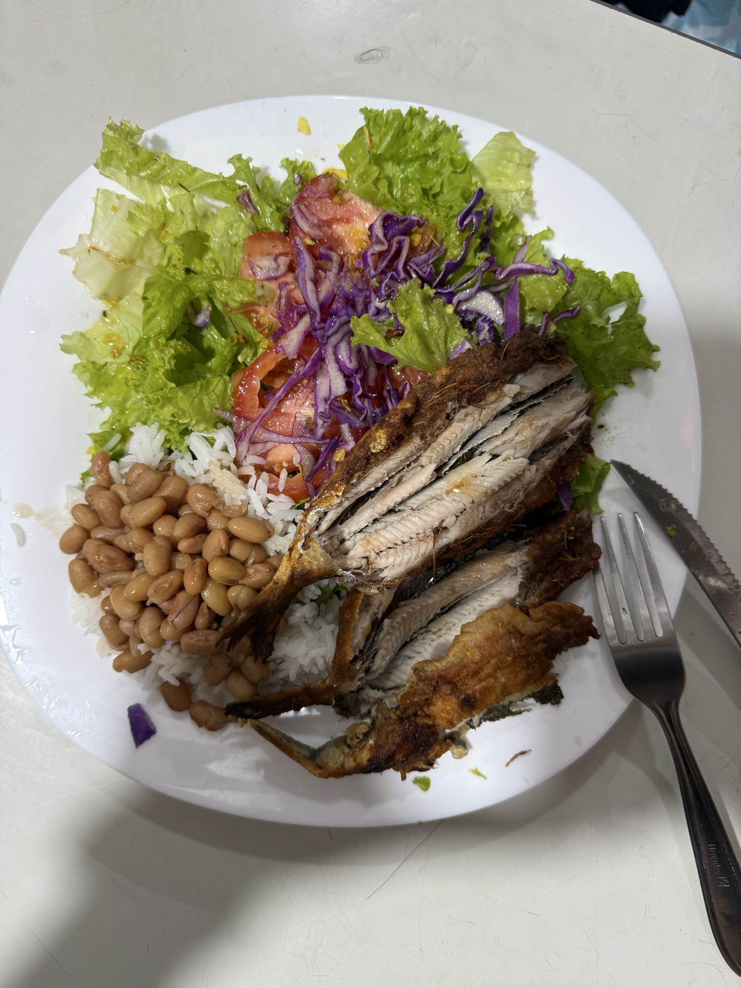 Peixe frito com arroz e salada