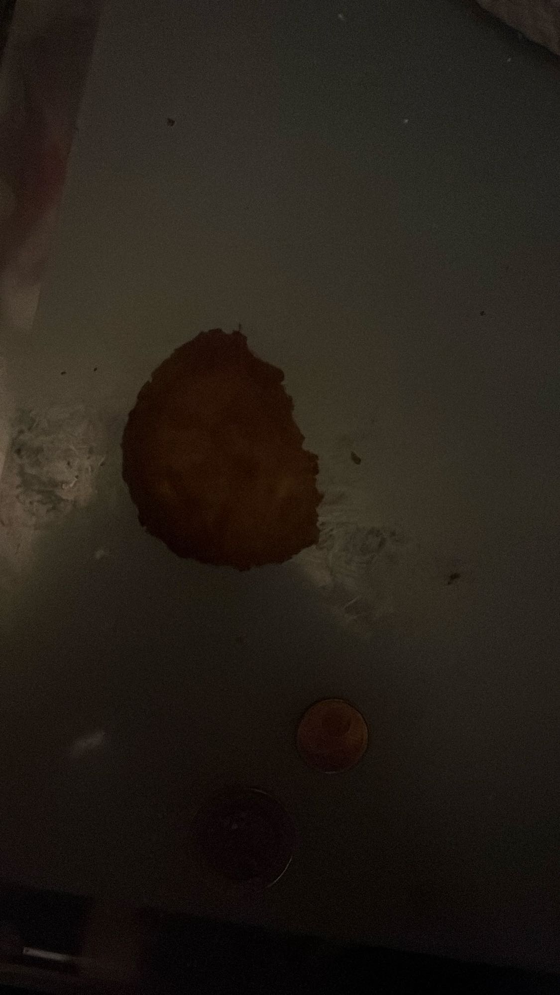 patates kızartması parçası