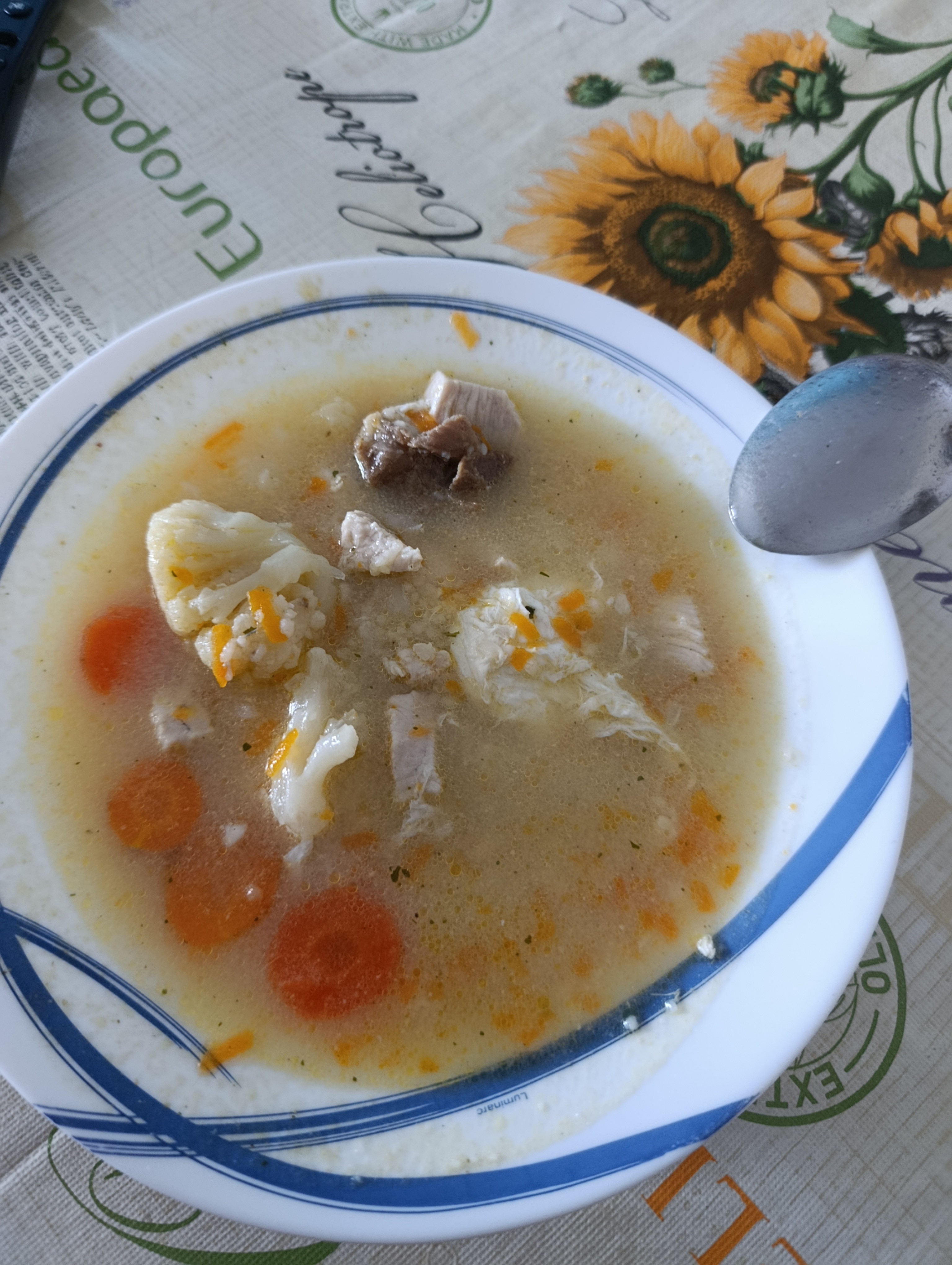 sopa de verduras con carne