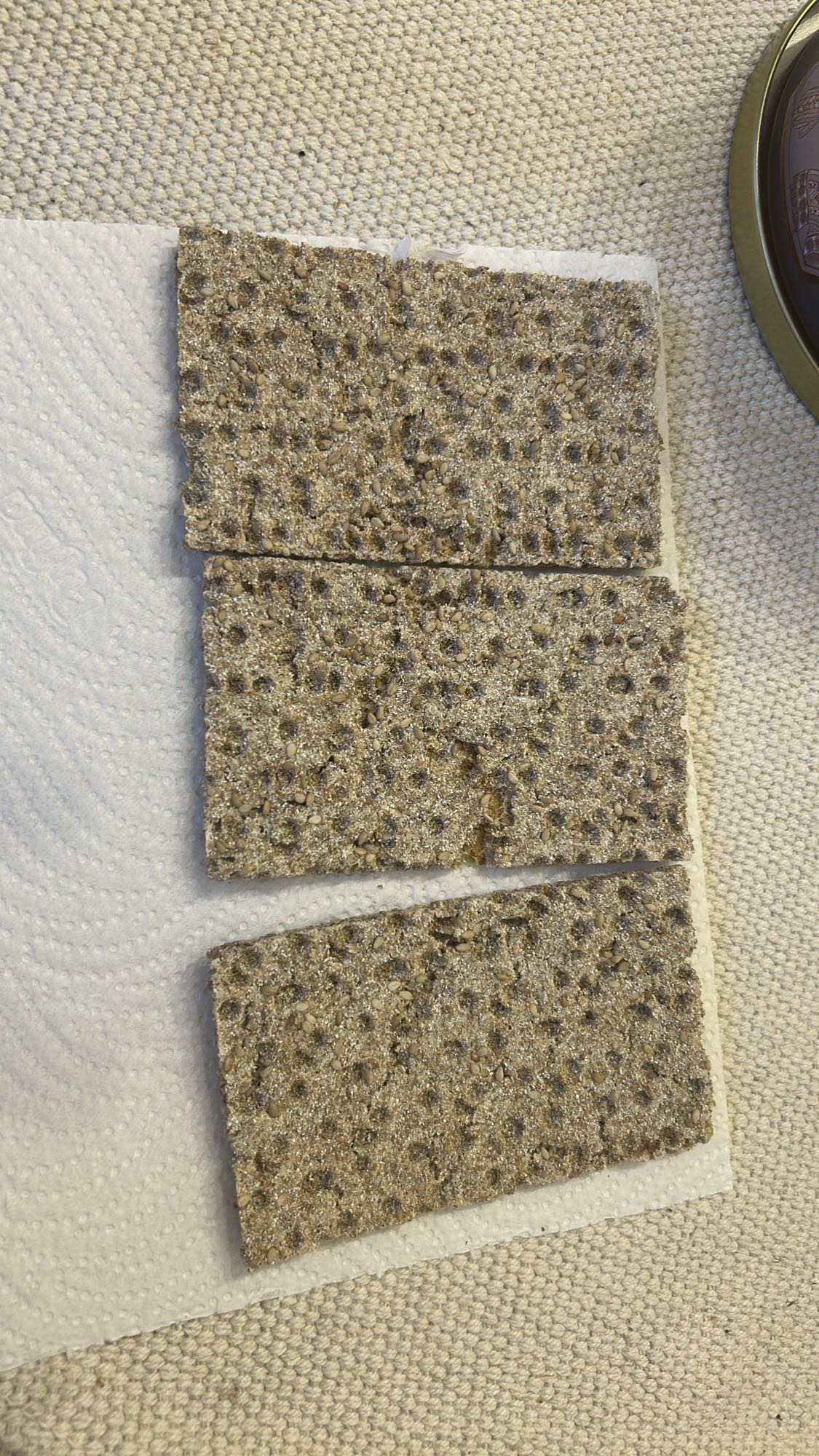 Paine crocanta integrala