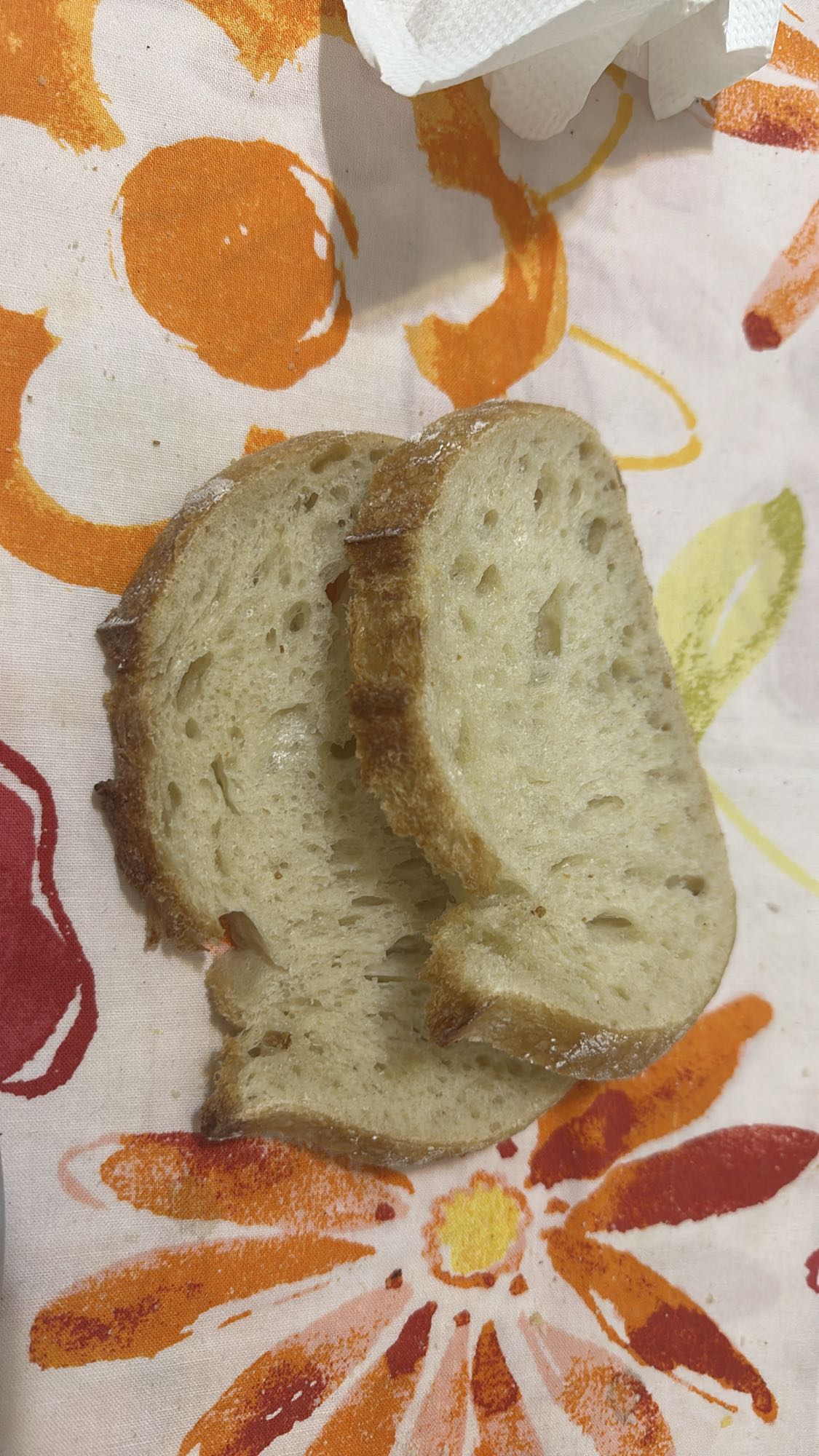 Sourdough bread slices