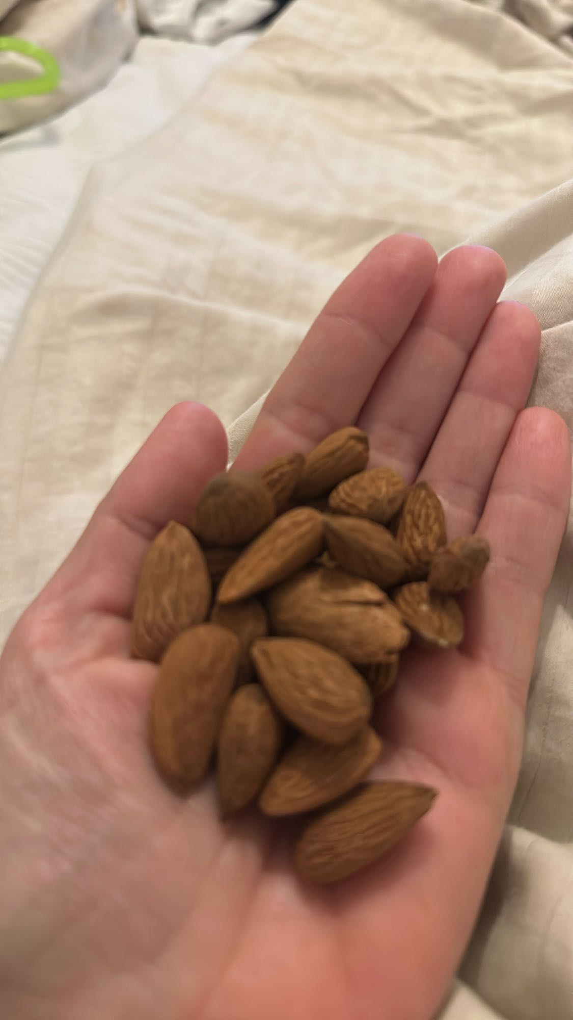 Handful of almonds