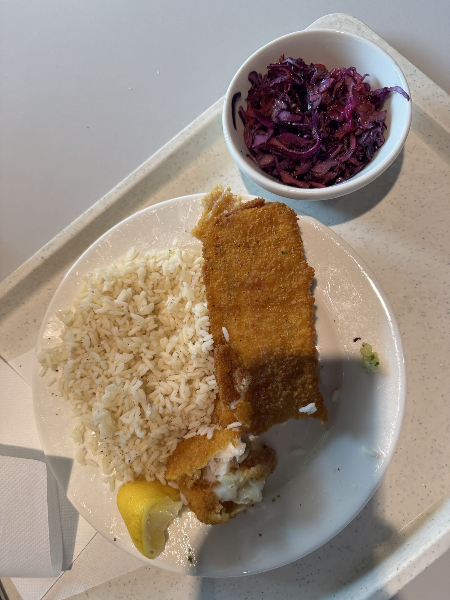 Breaded Fish, Rice, Slaw