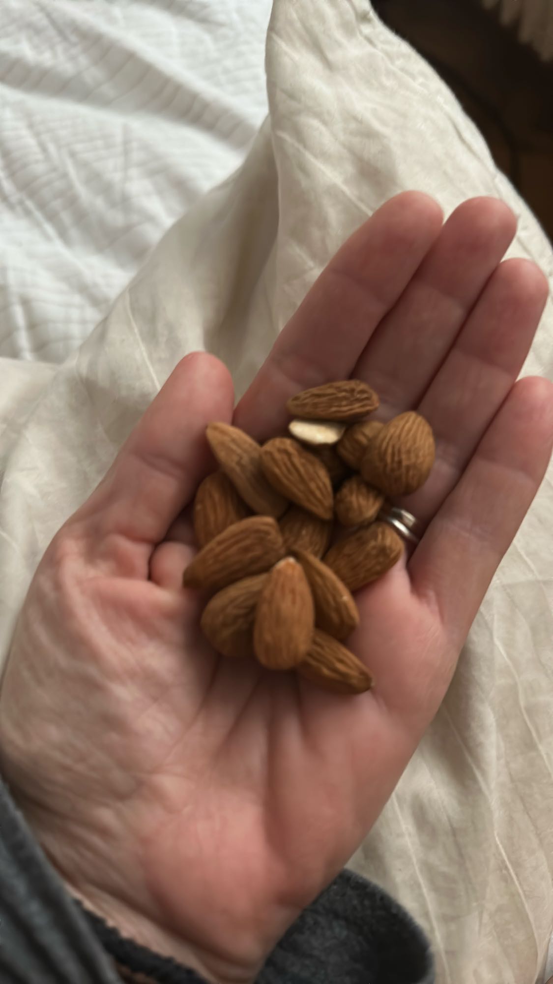 Handful of Almonds