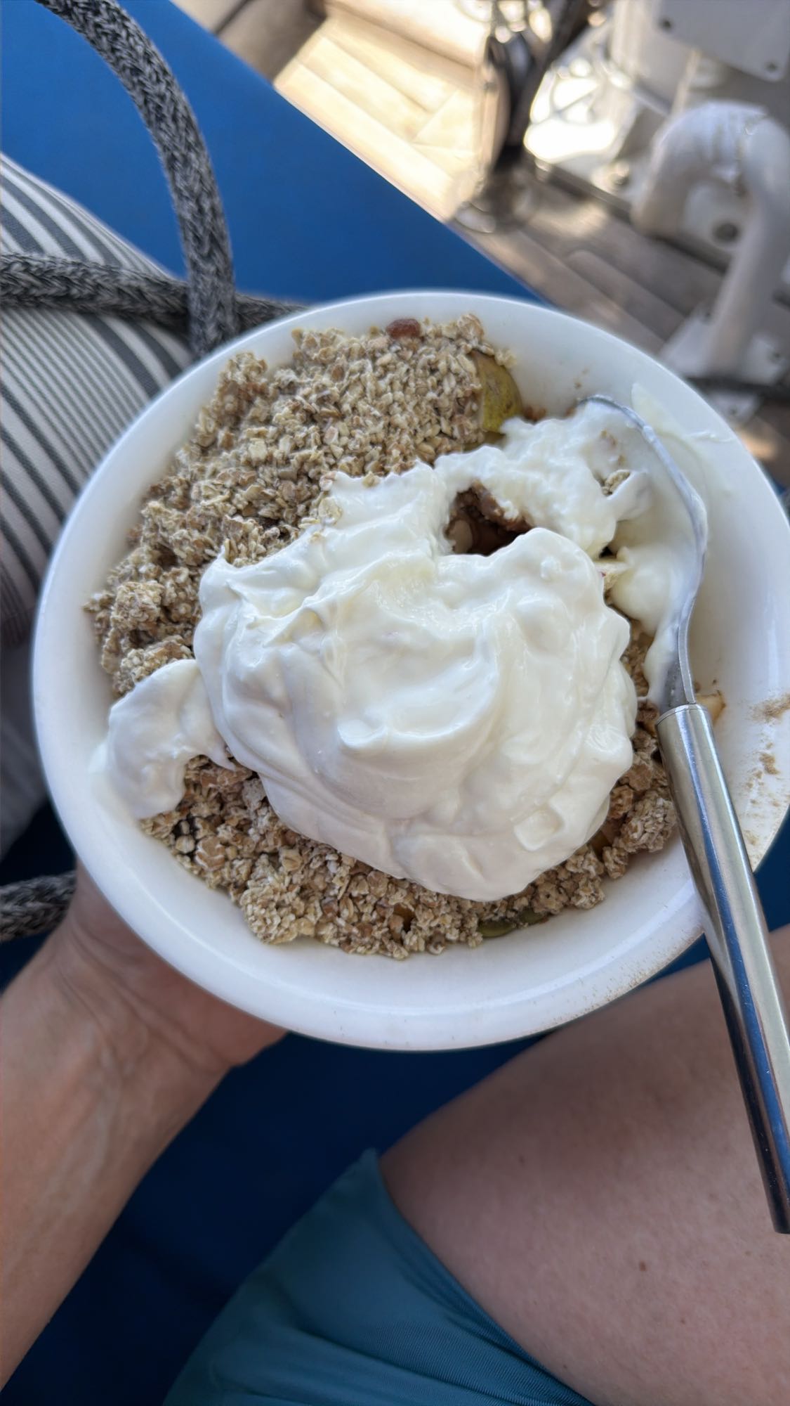 Yogurt oat fruit bowl