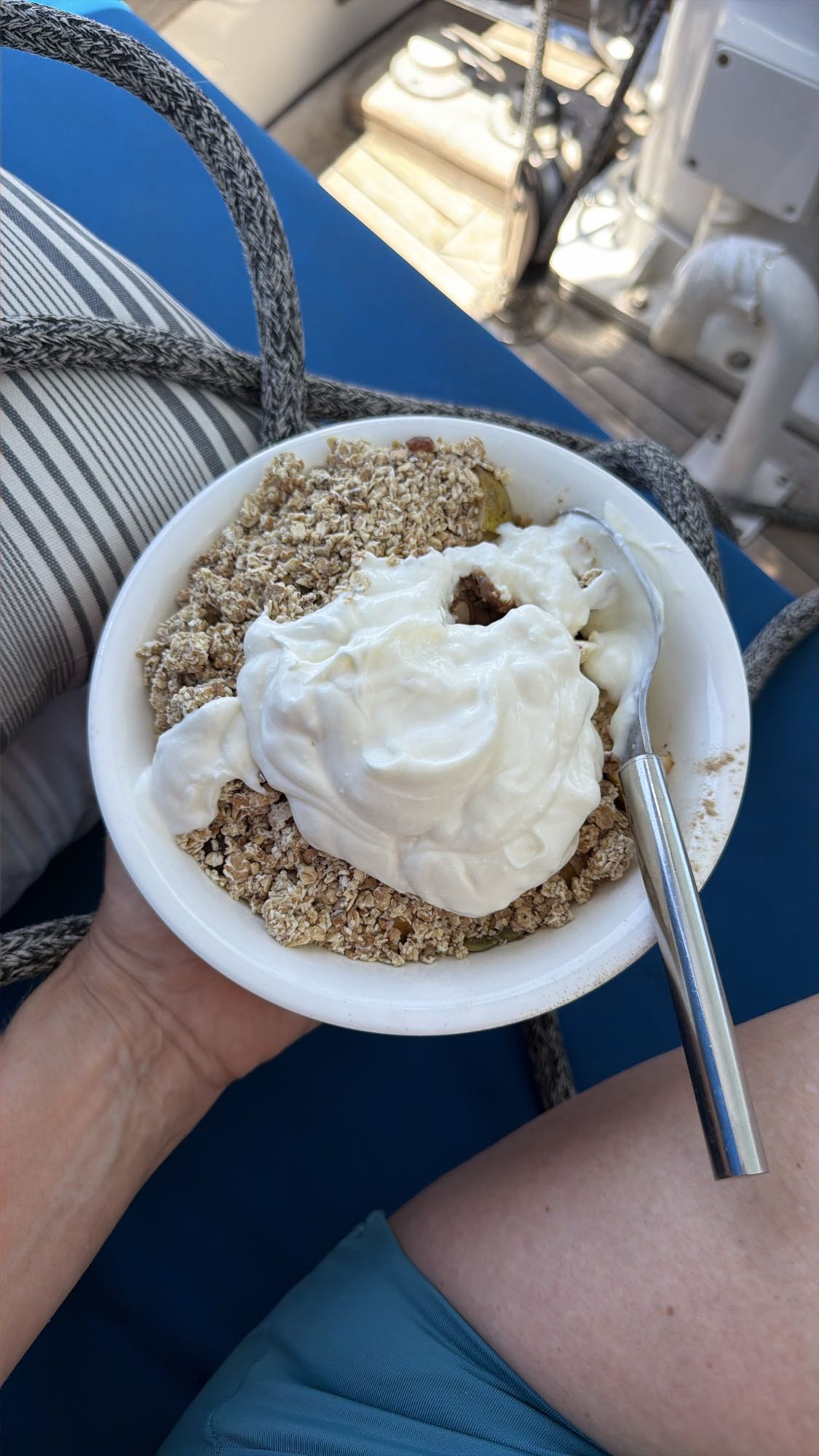 Yogurt oat fruit bowl