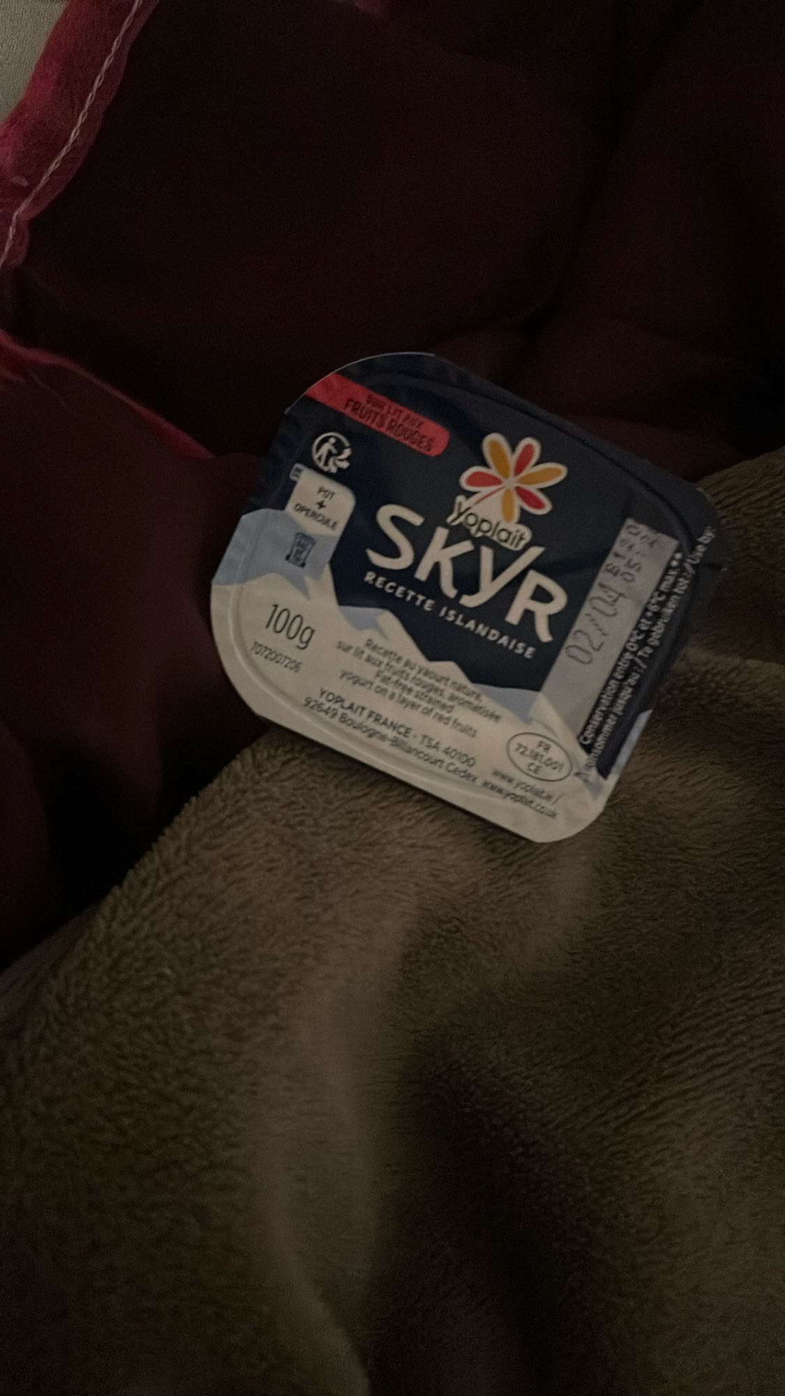 Skyr nature Yoplait