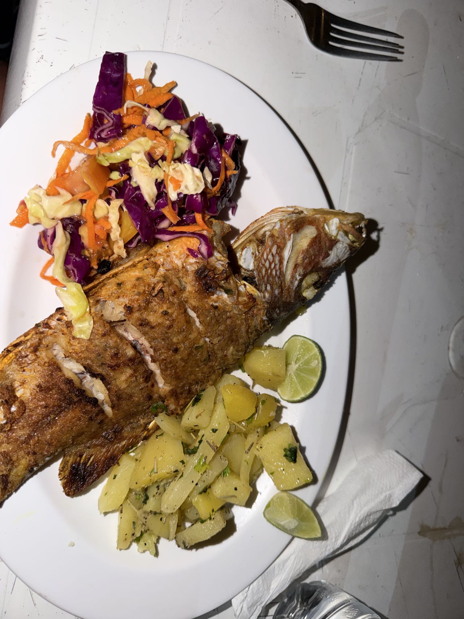 Grilled Fish with Veggies