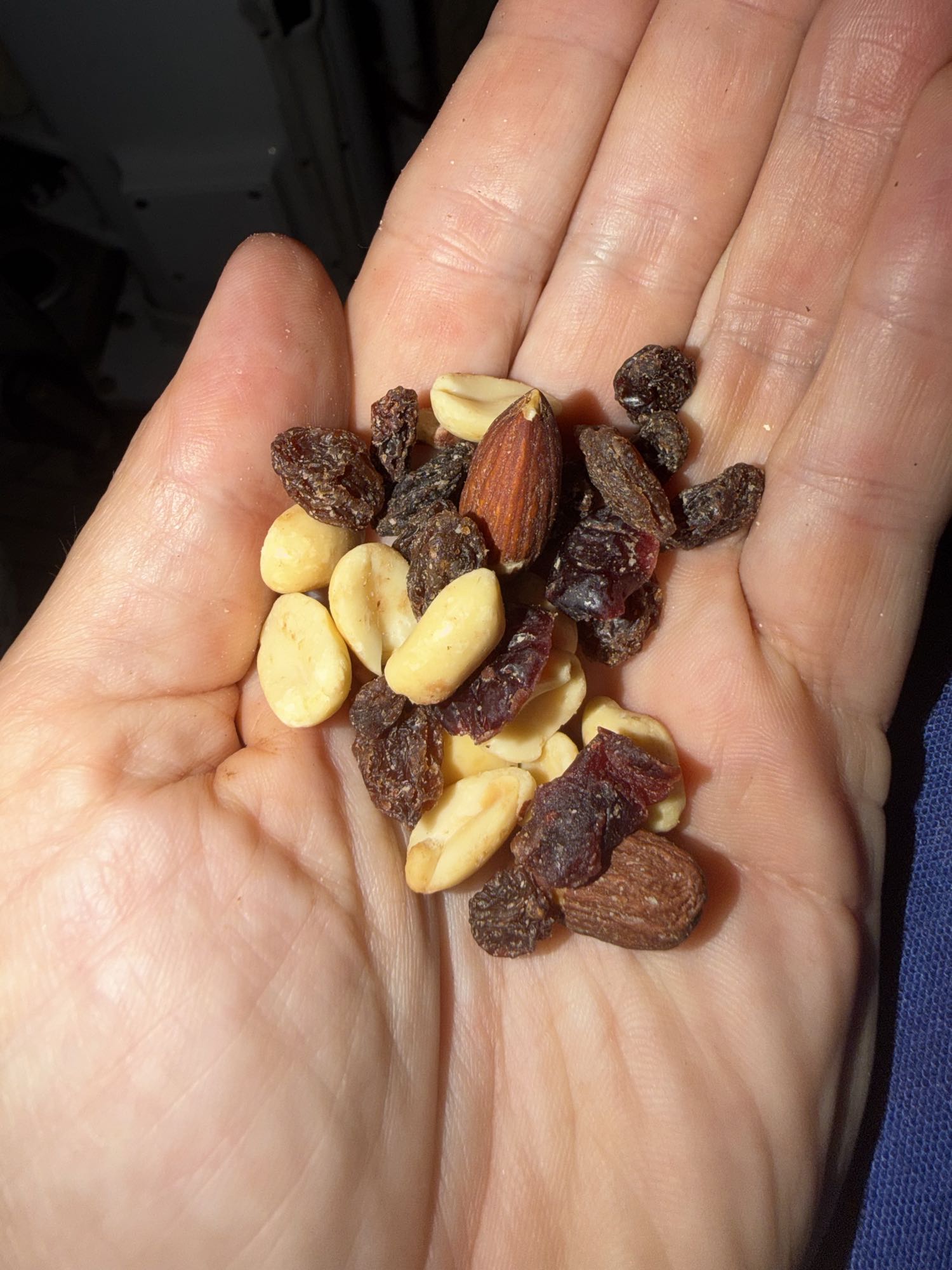 Trail Mix Handful