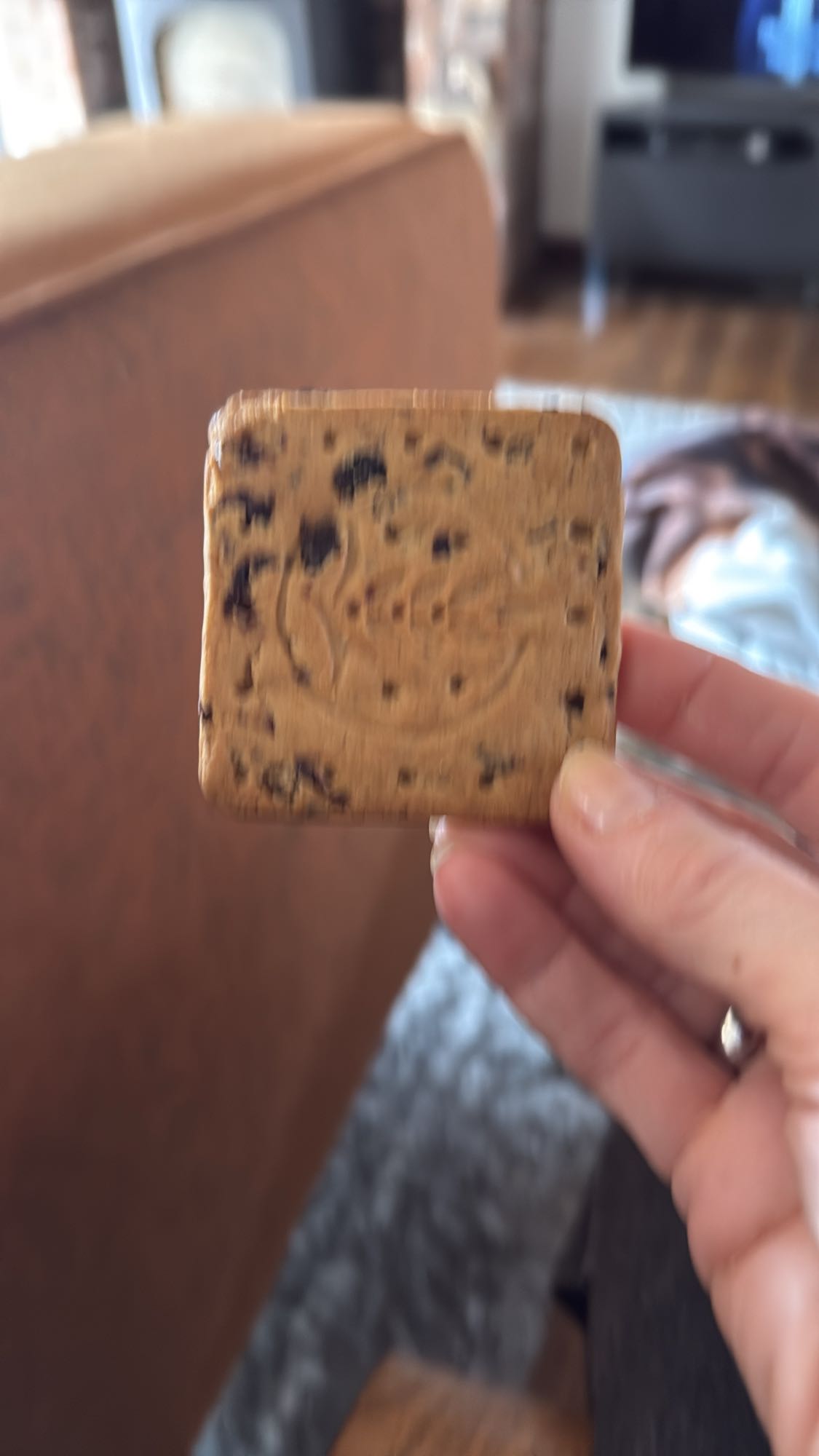 chocoladekoekje