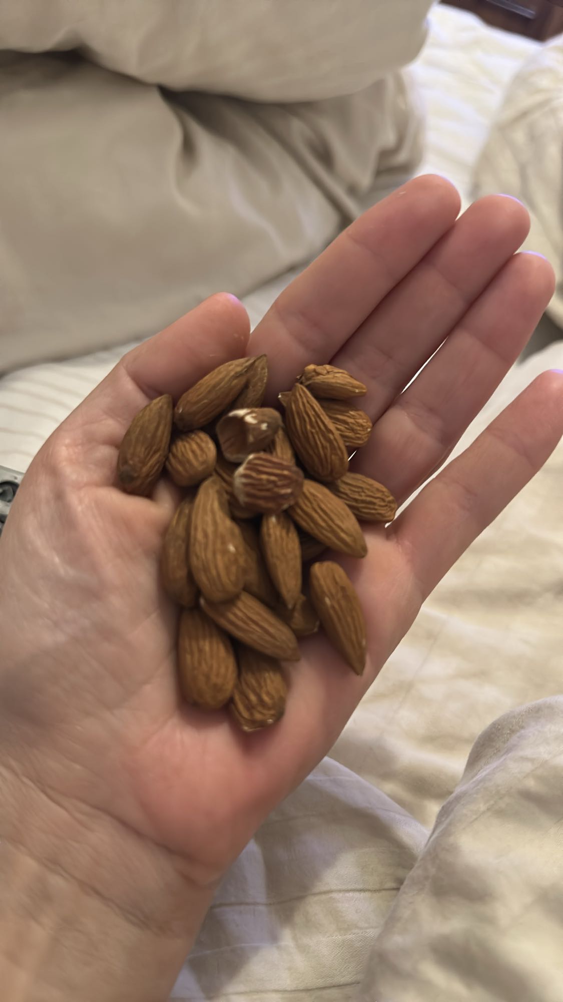 Handful of Almonds