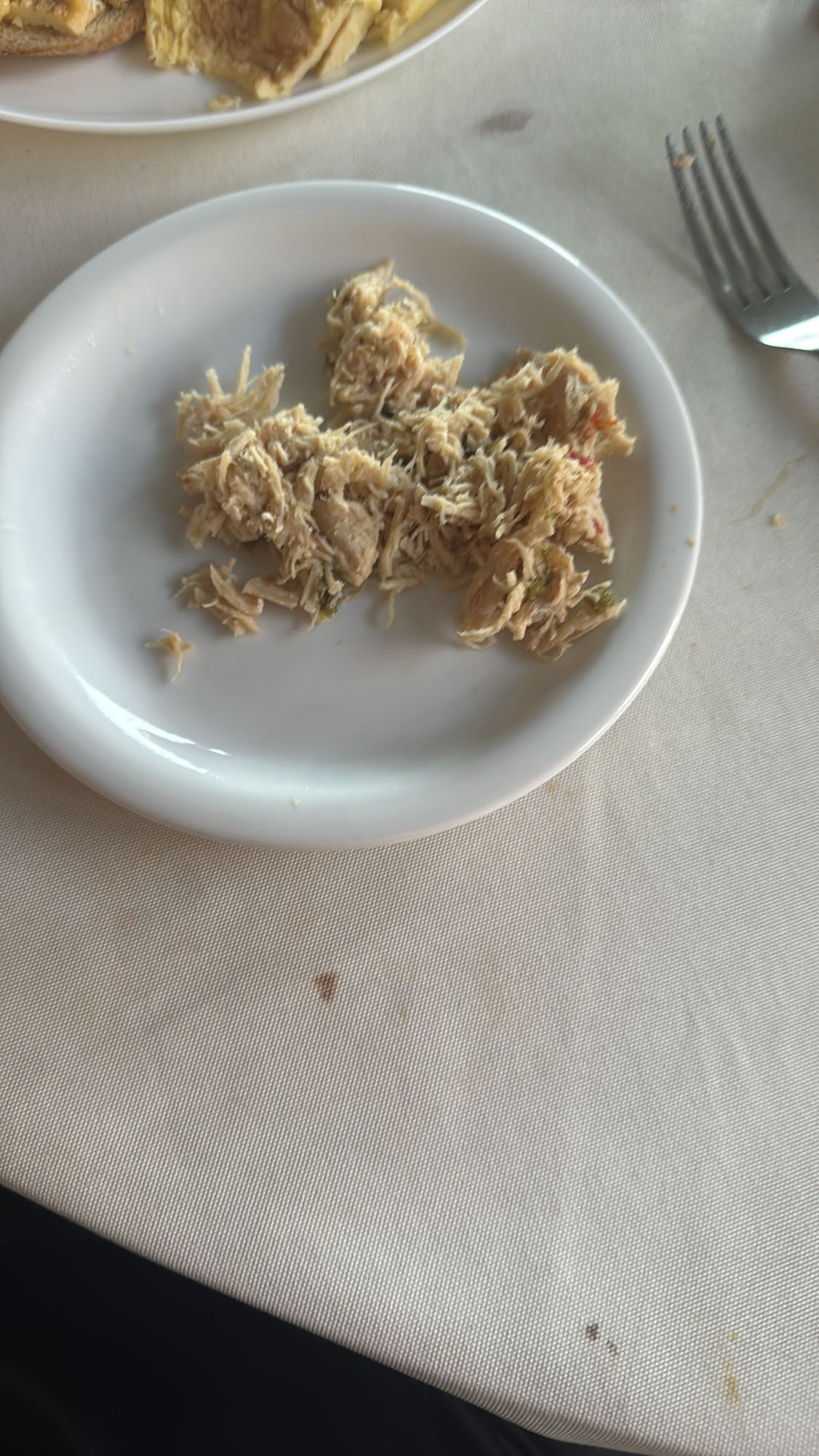 Frango desfiado simples