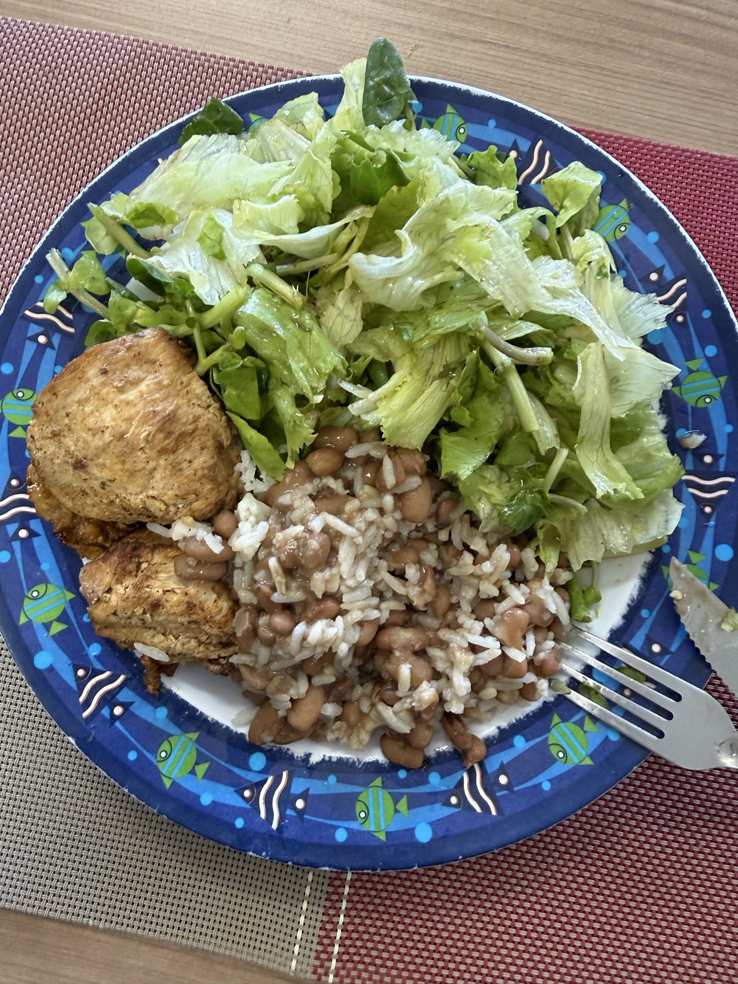 Frango, arroz, feijão e salada