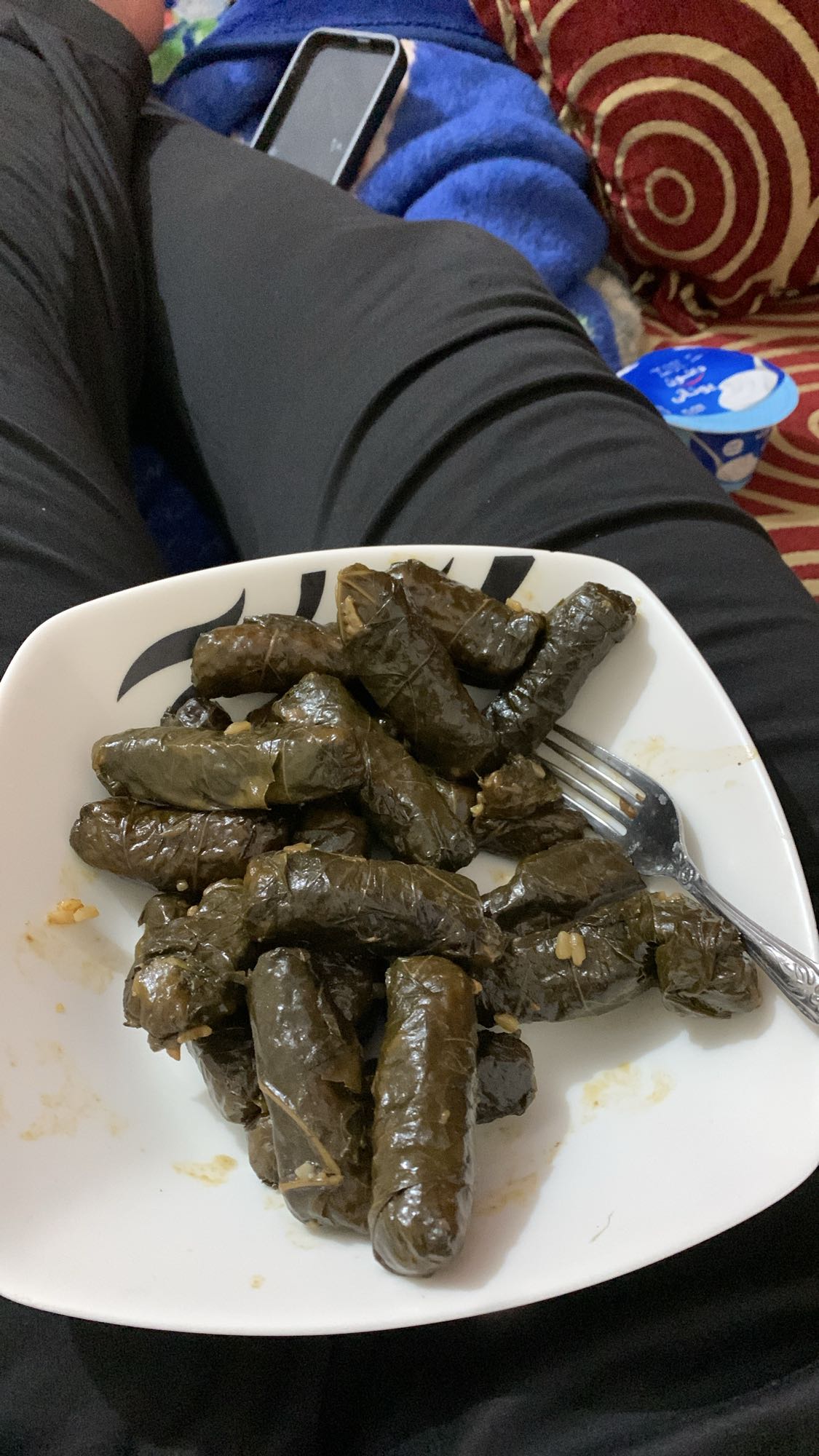 ورق عنب محشي