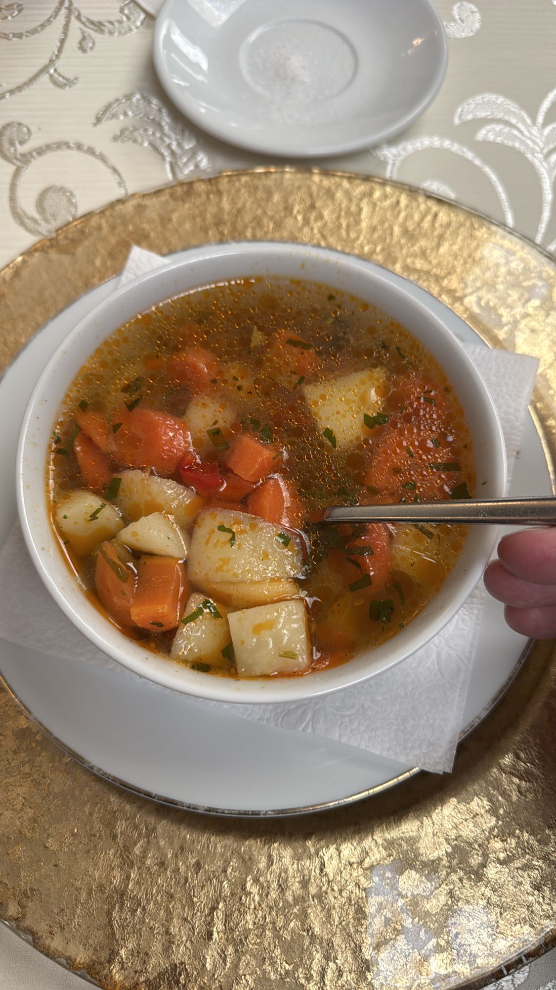 Vegetable Soup